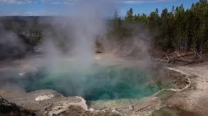 ¿Sabías que los árboles pueden predecir las erupciones de los volcanes?