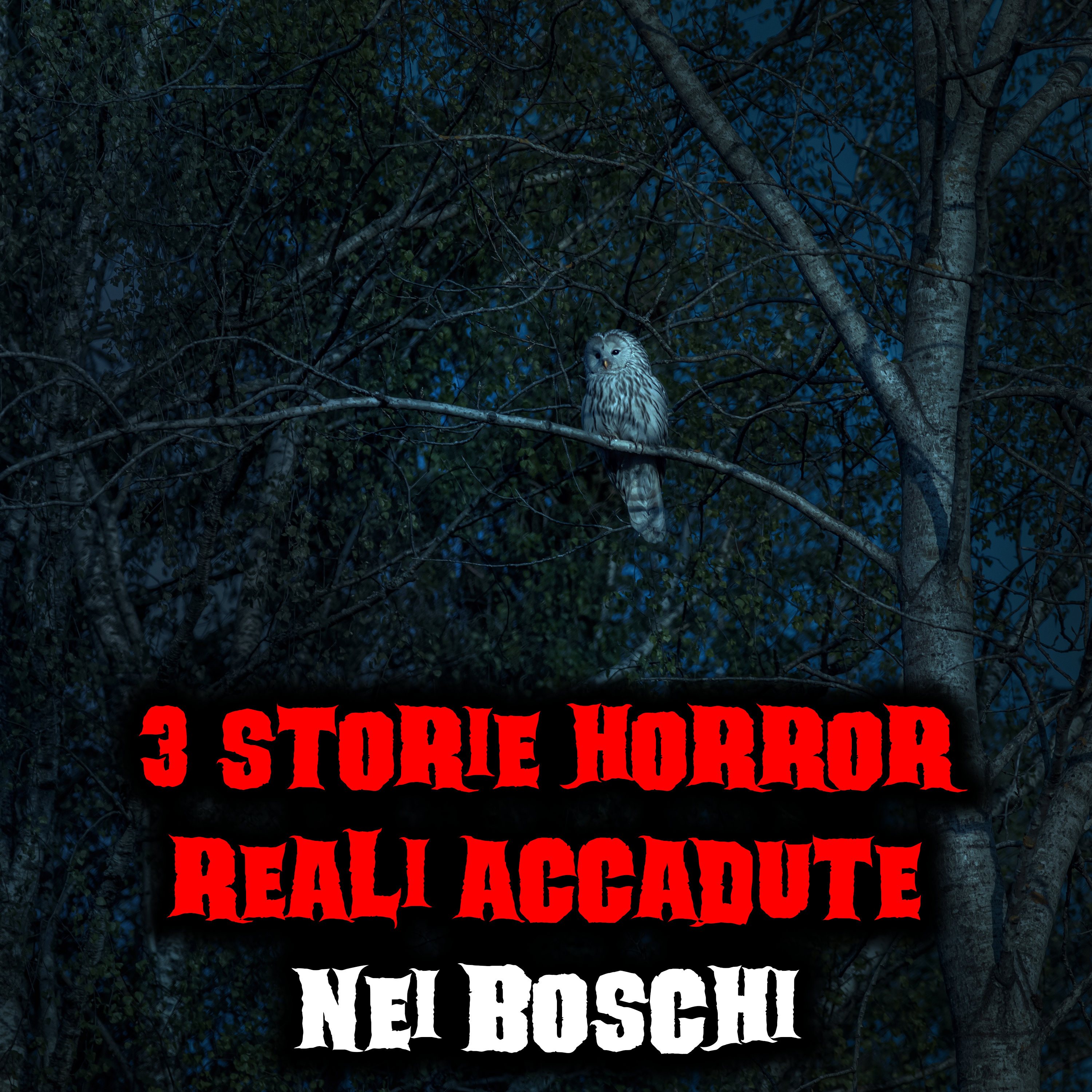 3 Storie Horror Reali Accadute nei Boschi episode artwork