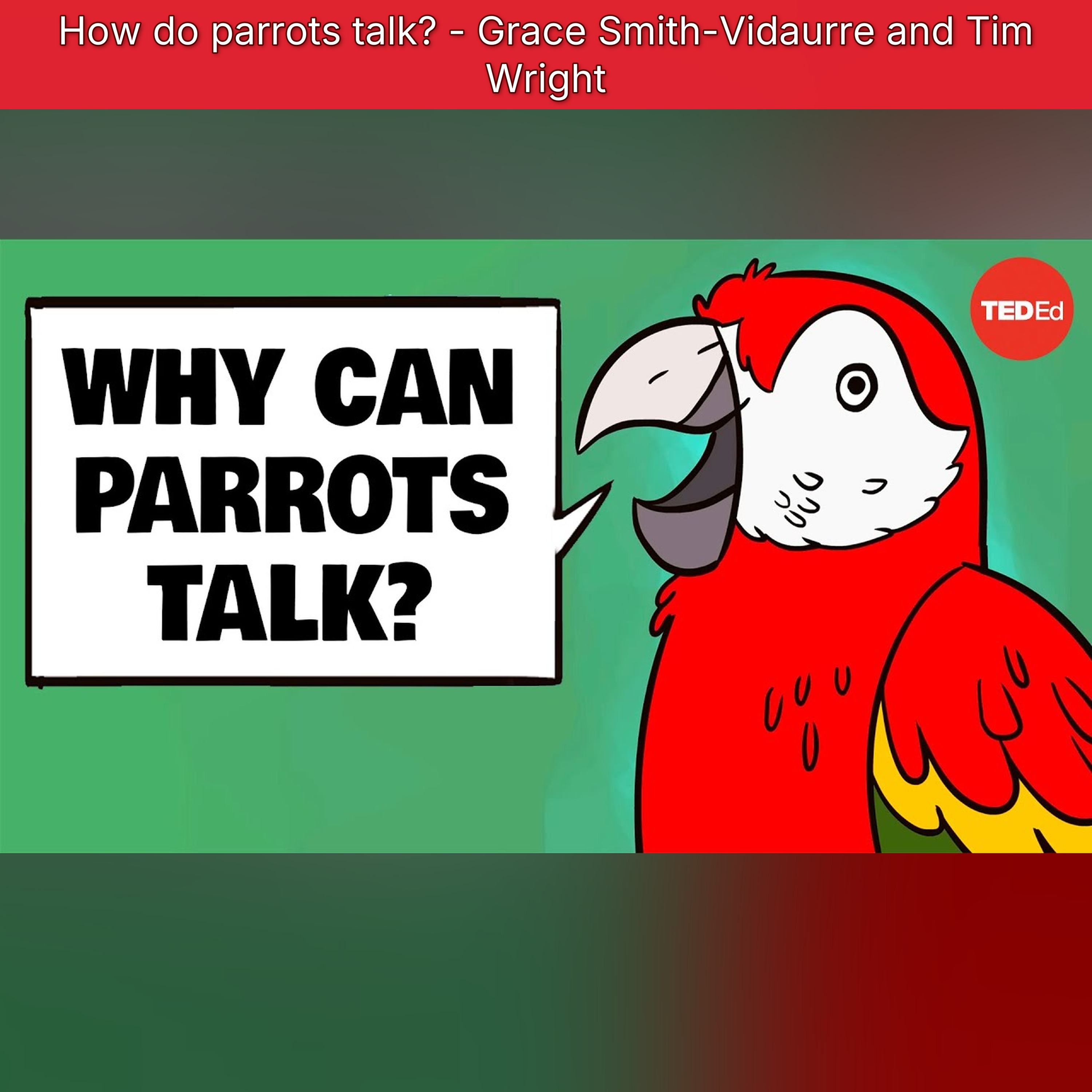 TED-Ed