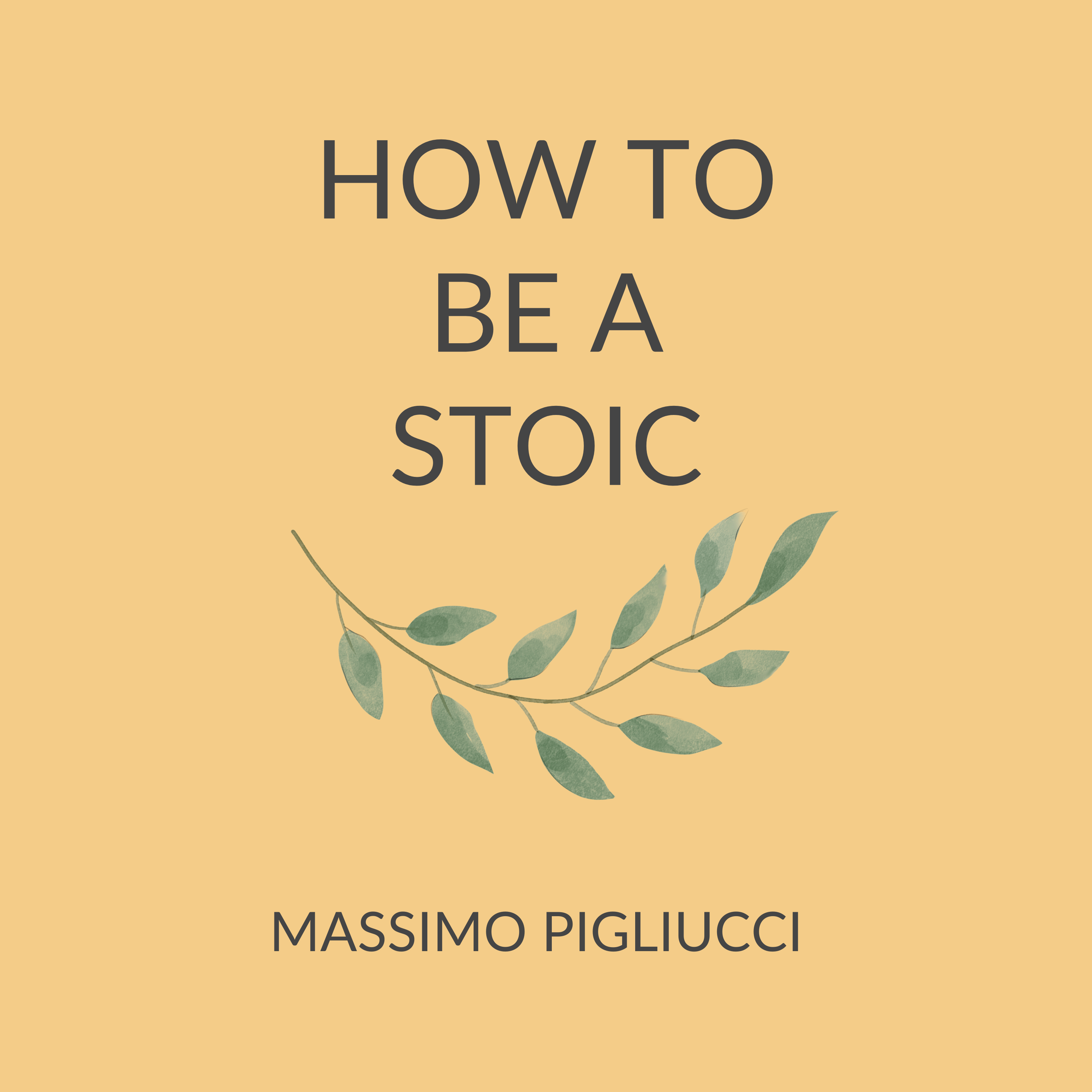 Best Book Summaries 📚 by StoryShots