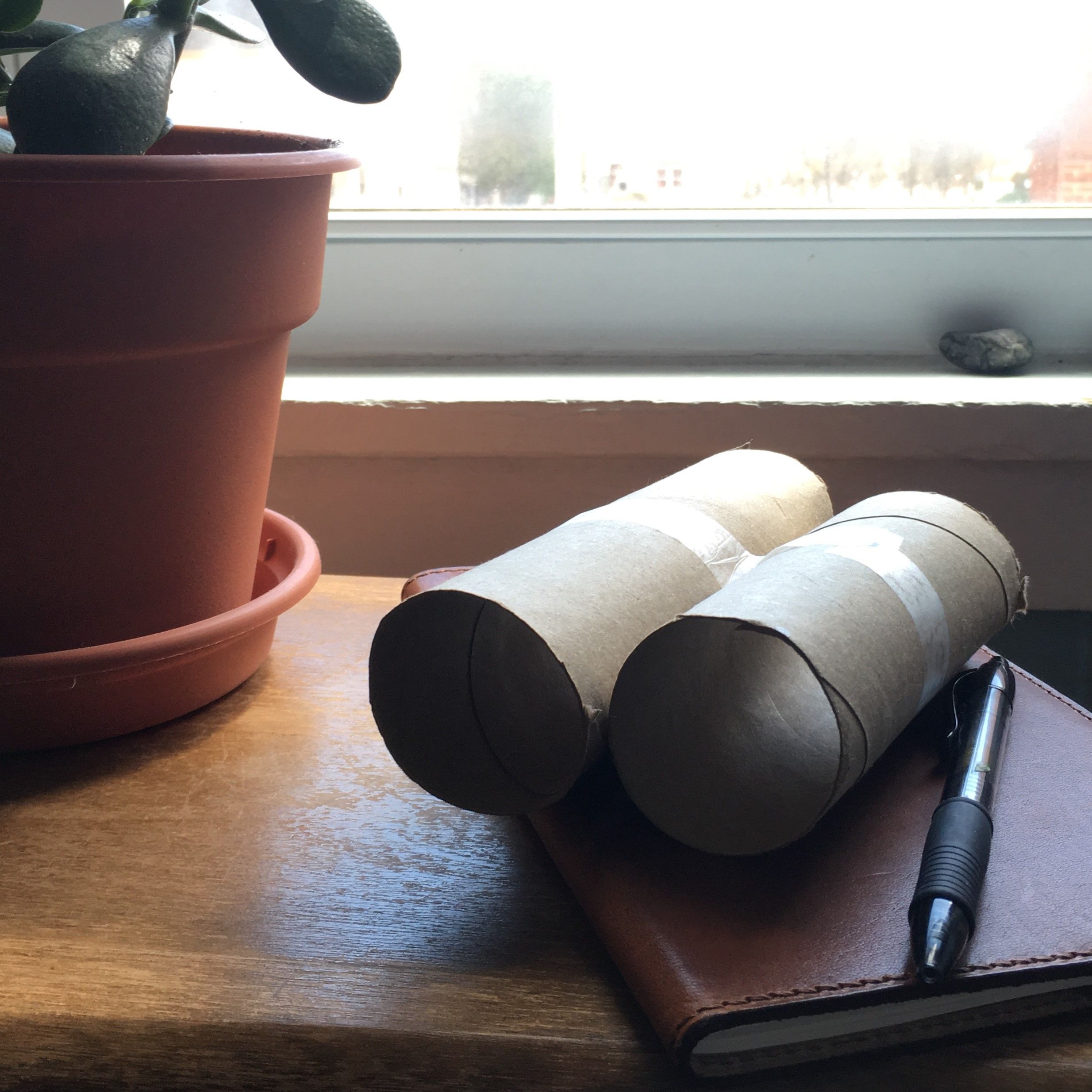 Inside/In: How To Be A Backyard Birber