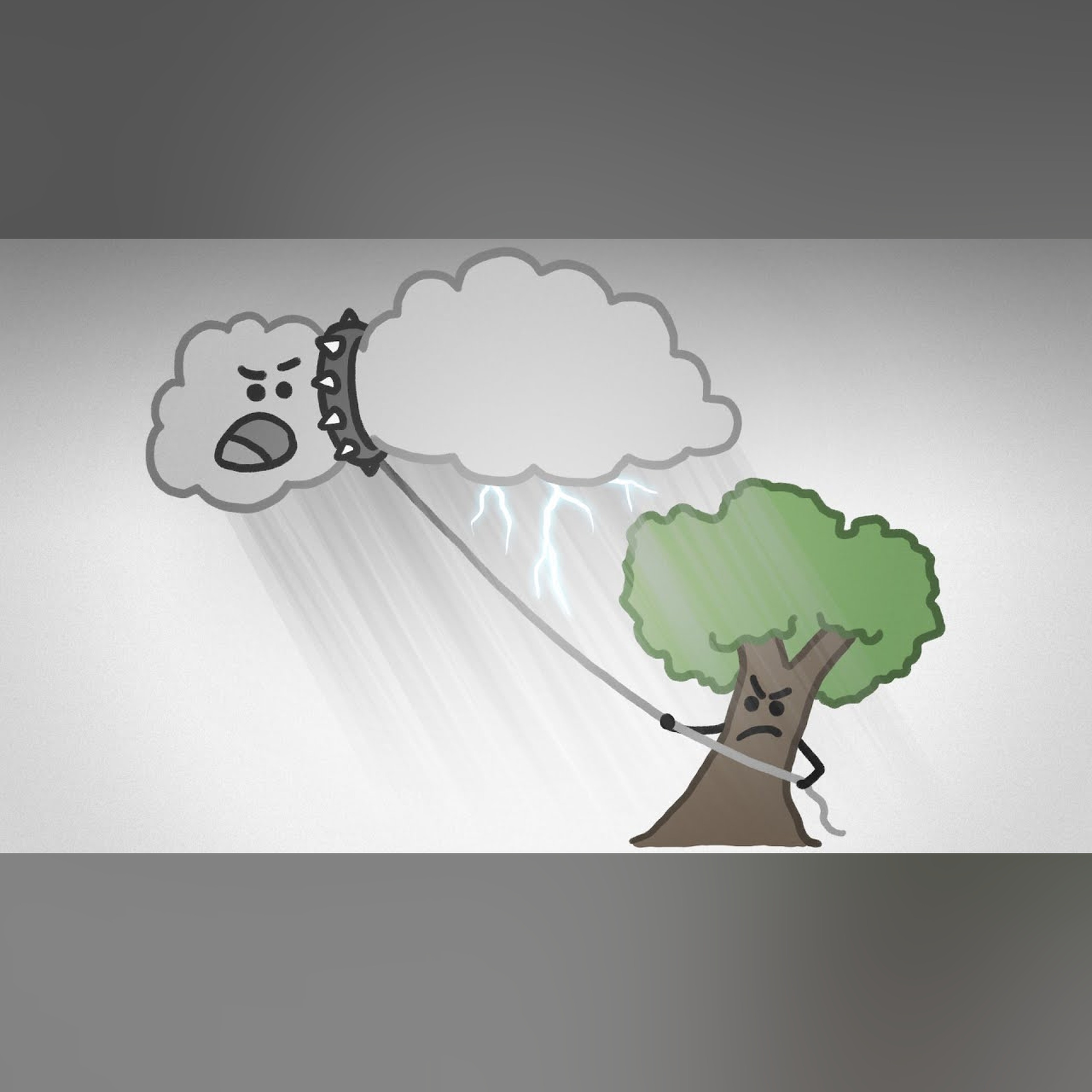 Which Came First — the Rain or Rainforests?
