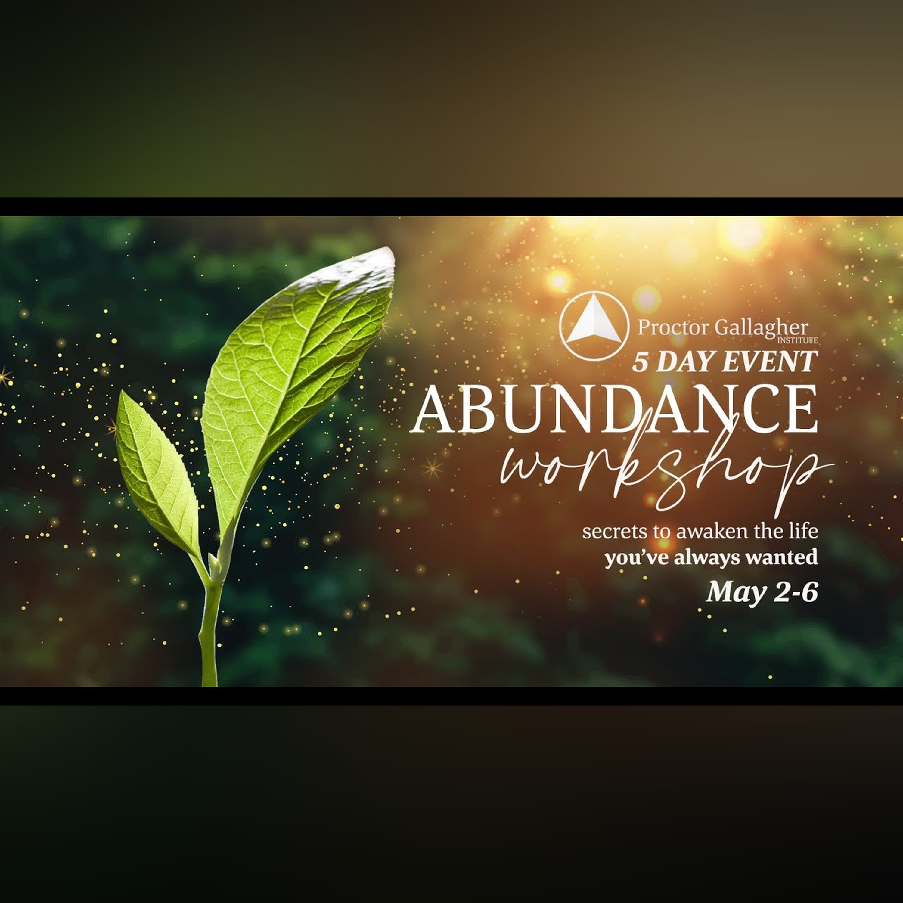 5 Day Abundance Workshop with Proctor Gallagher Institute - LIVE May 2-6