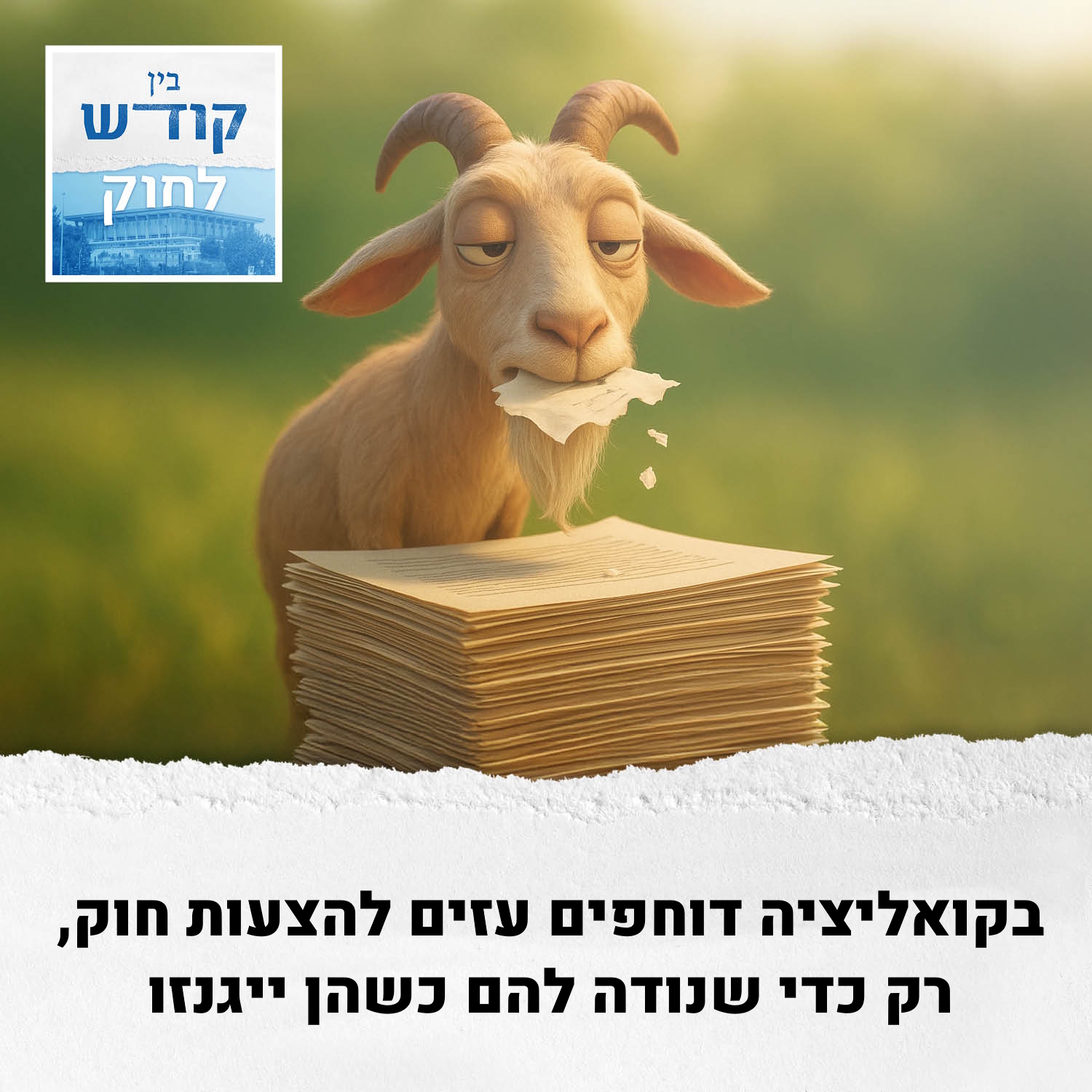 העז ה-16