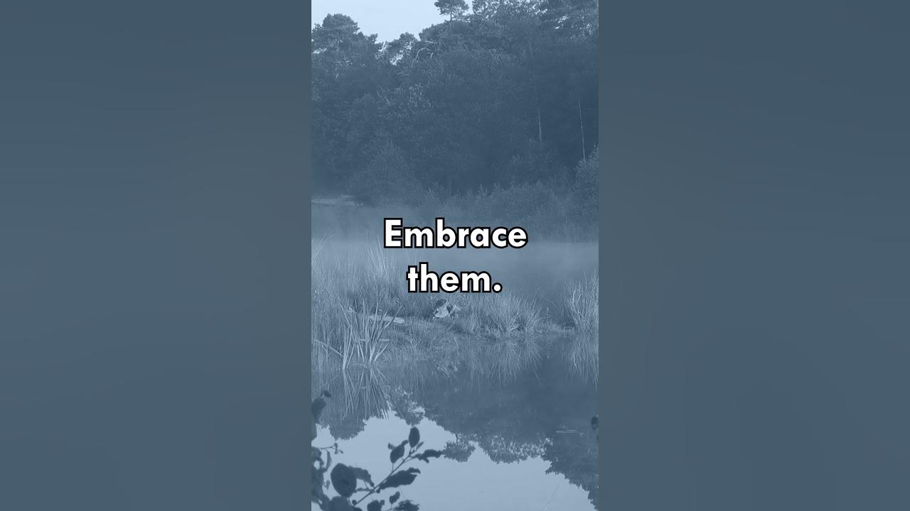 Accepting Our Circumstances | The Philosophy of Marcus Aurelius | Einzelgänger