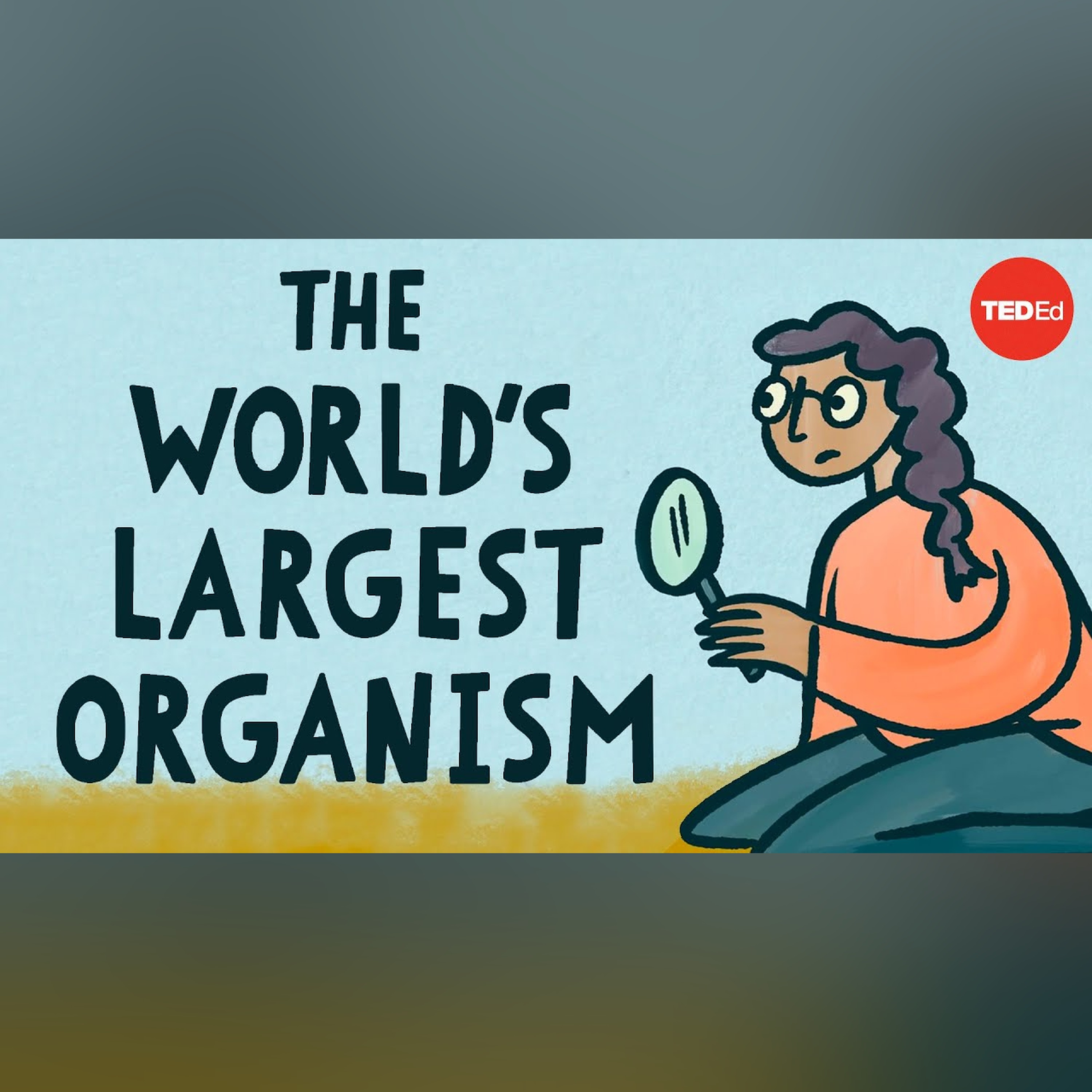 The world’s largest organism - Alex Rosenthal