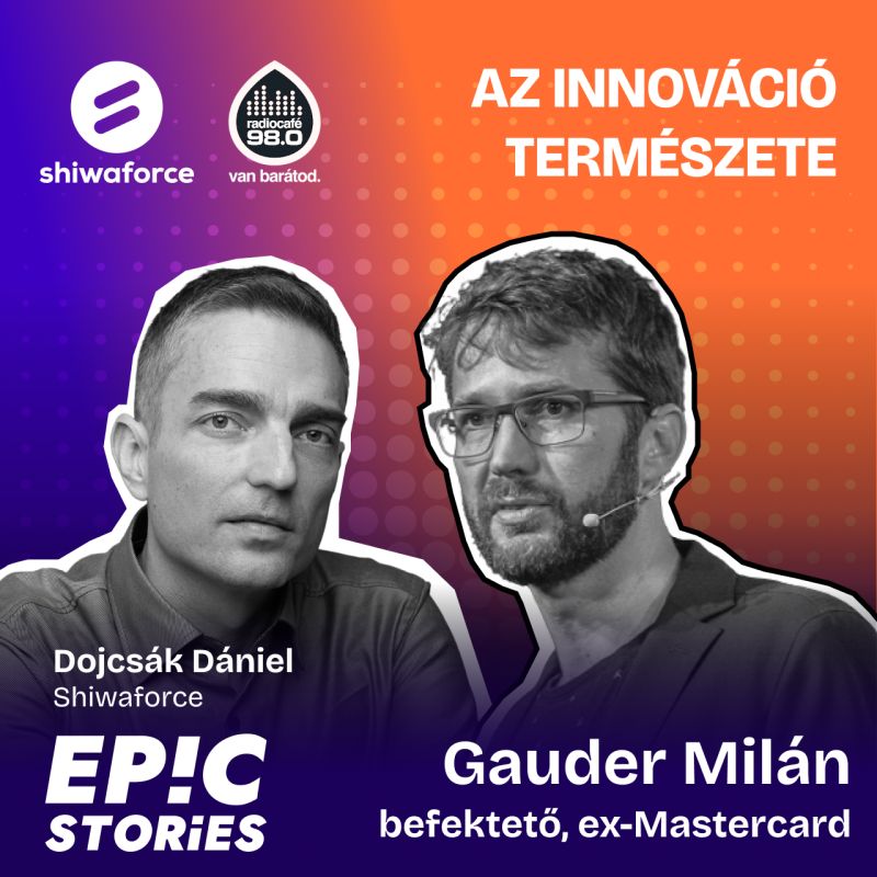 Gauder Milán: Az innováció természete