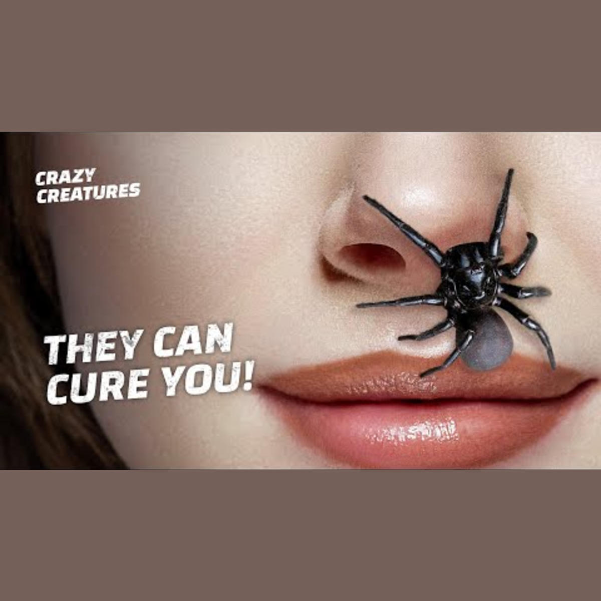 Top 10 Animals Revolutionizing Medical Cures episode artwork