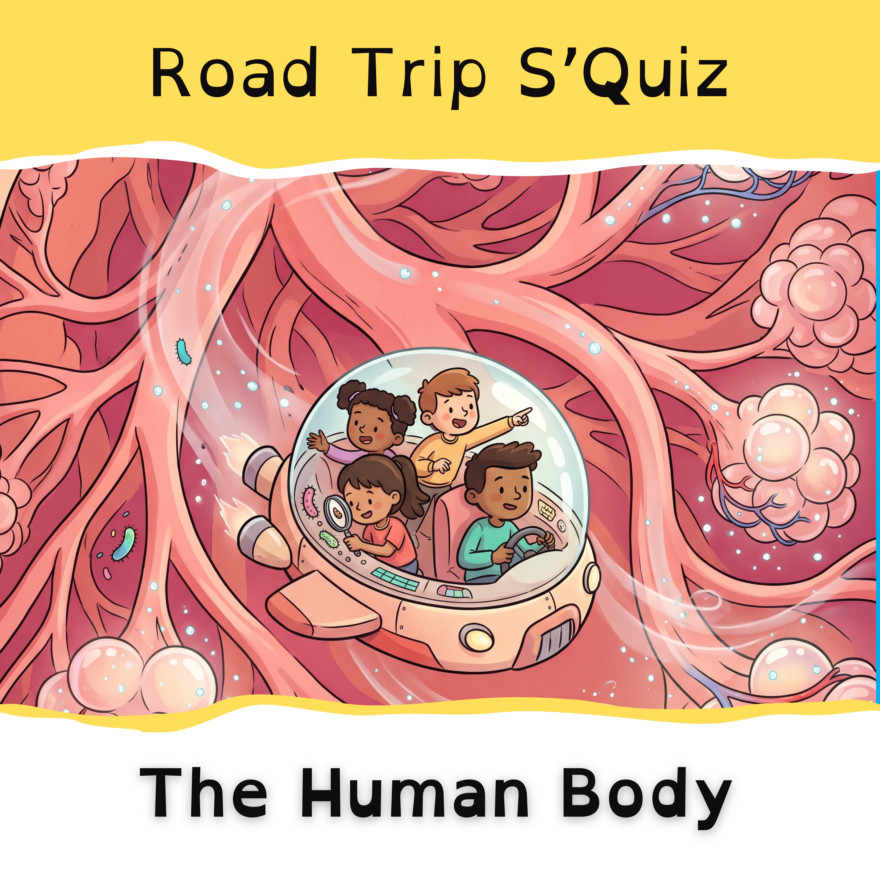 Road Trip S'Quiz - The Human Body
