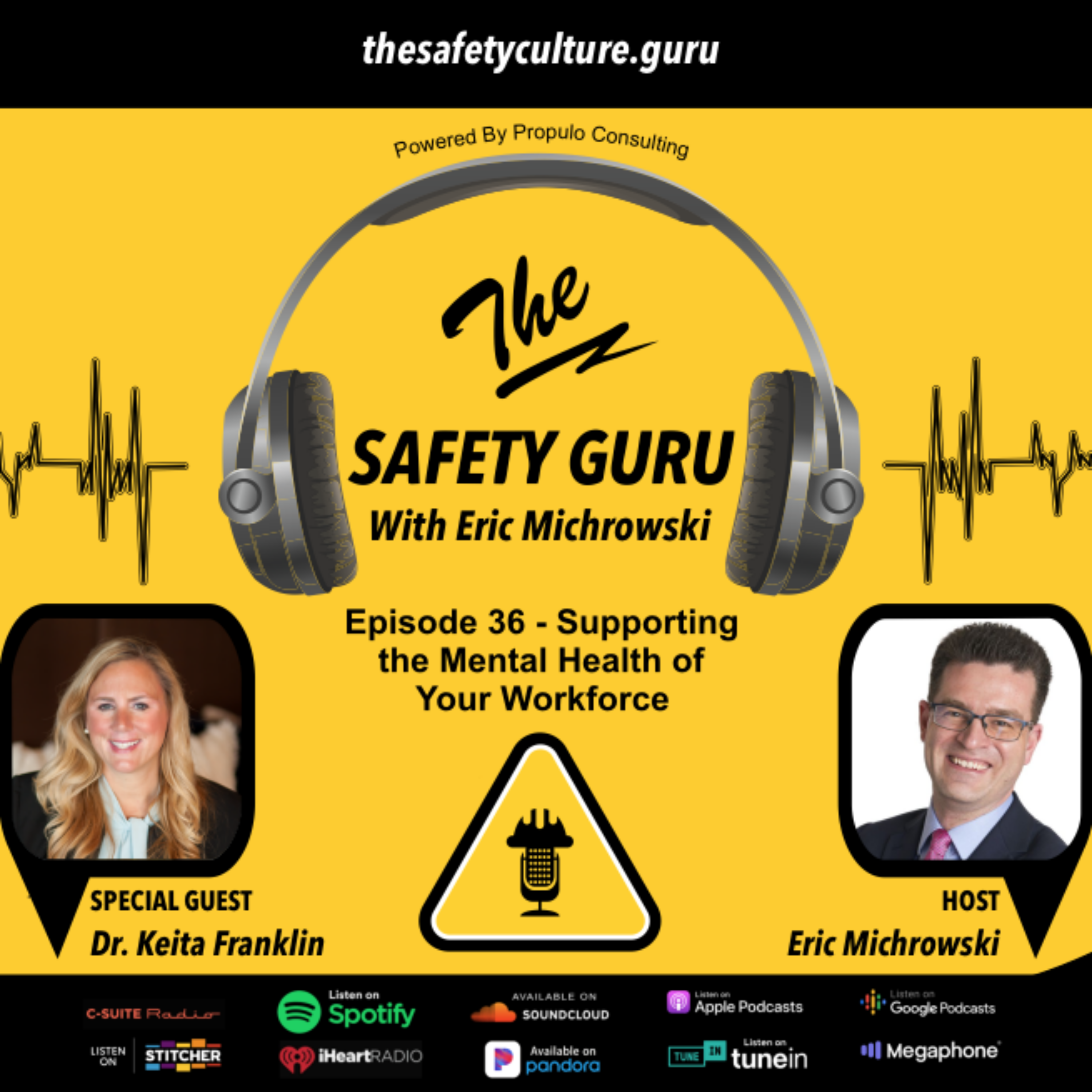 The Safety Guru