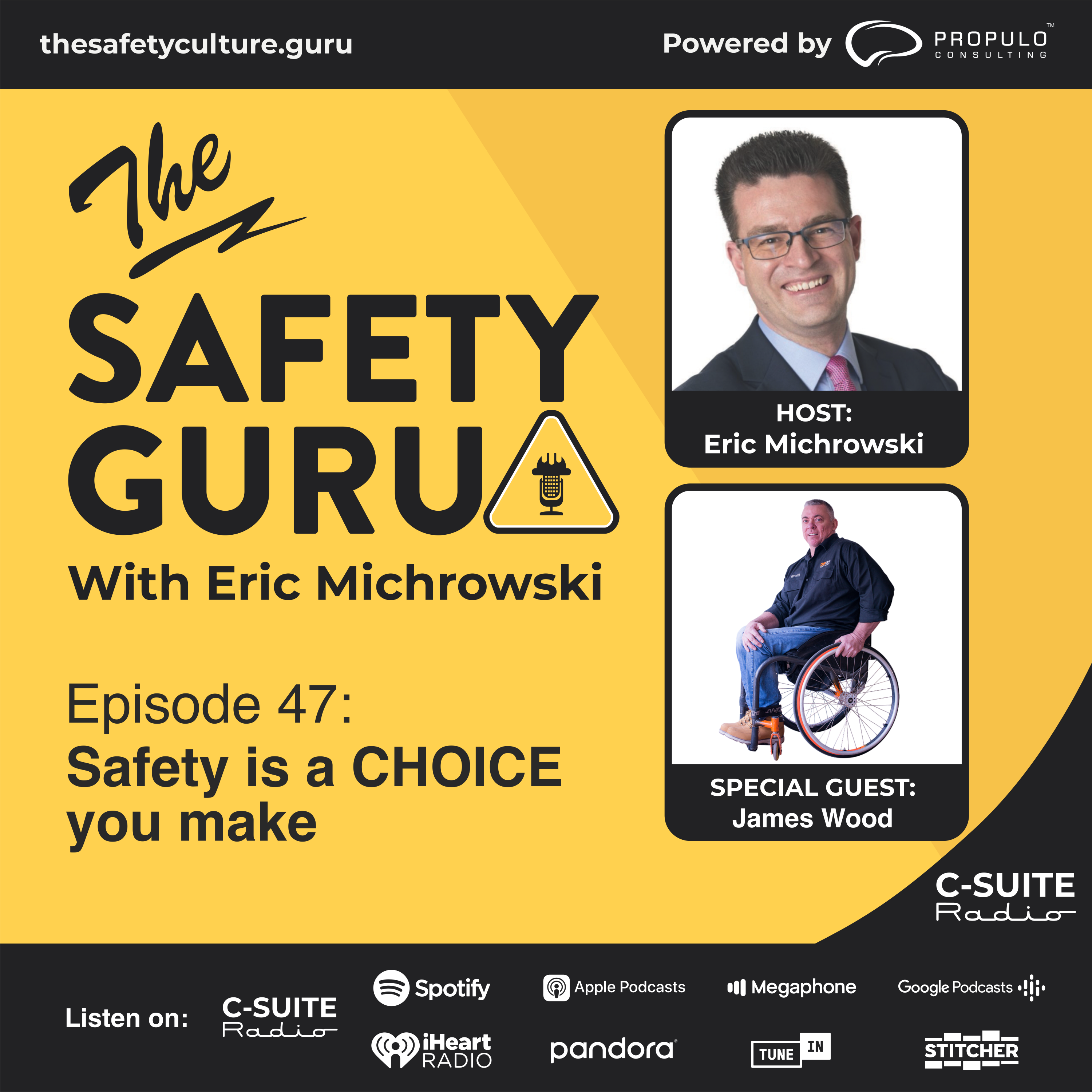 The Safety Guru