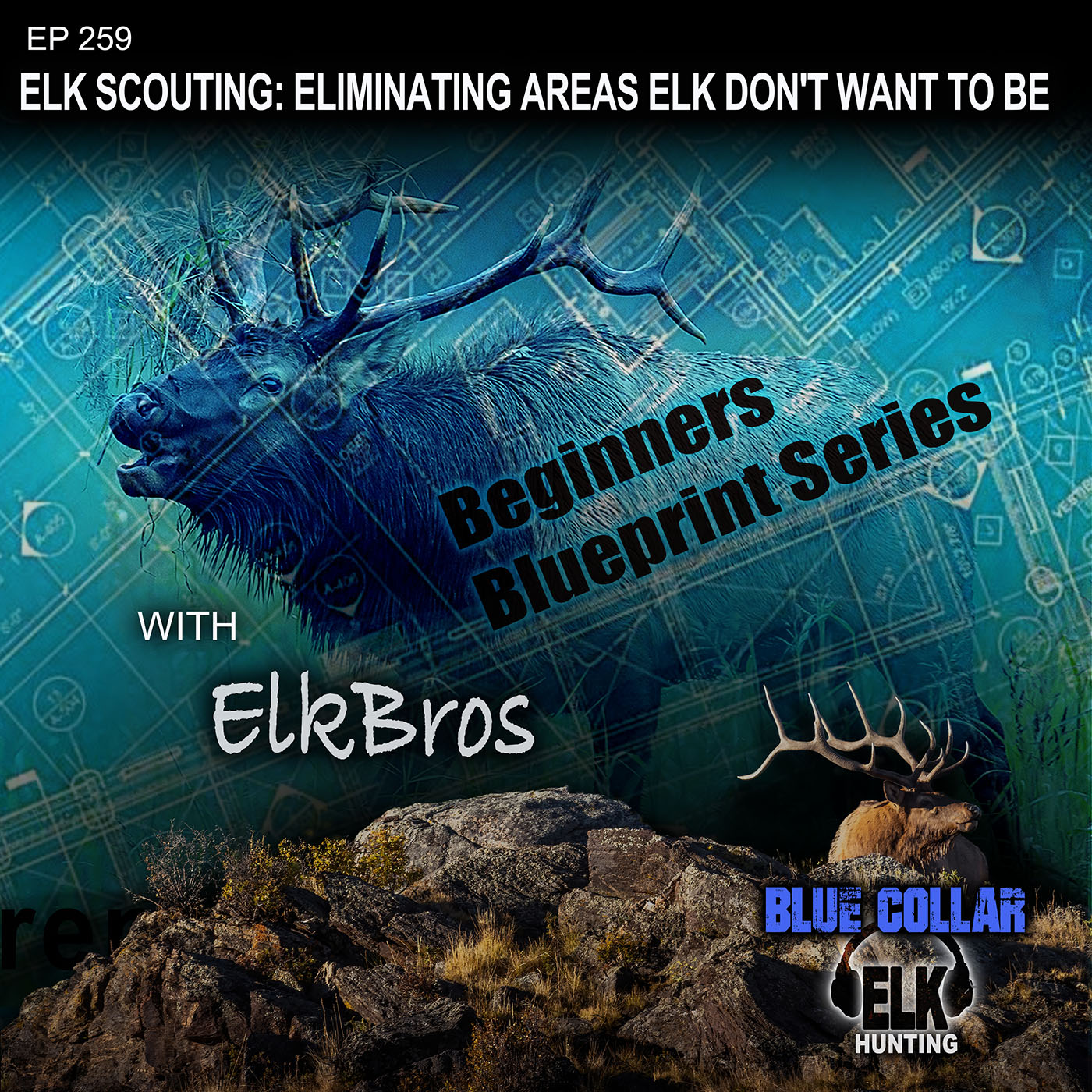 Elk Scouting: Needed Features & Eliminating Areas Elk Don't Want To Be