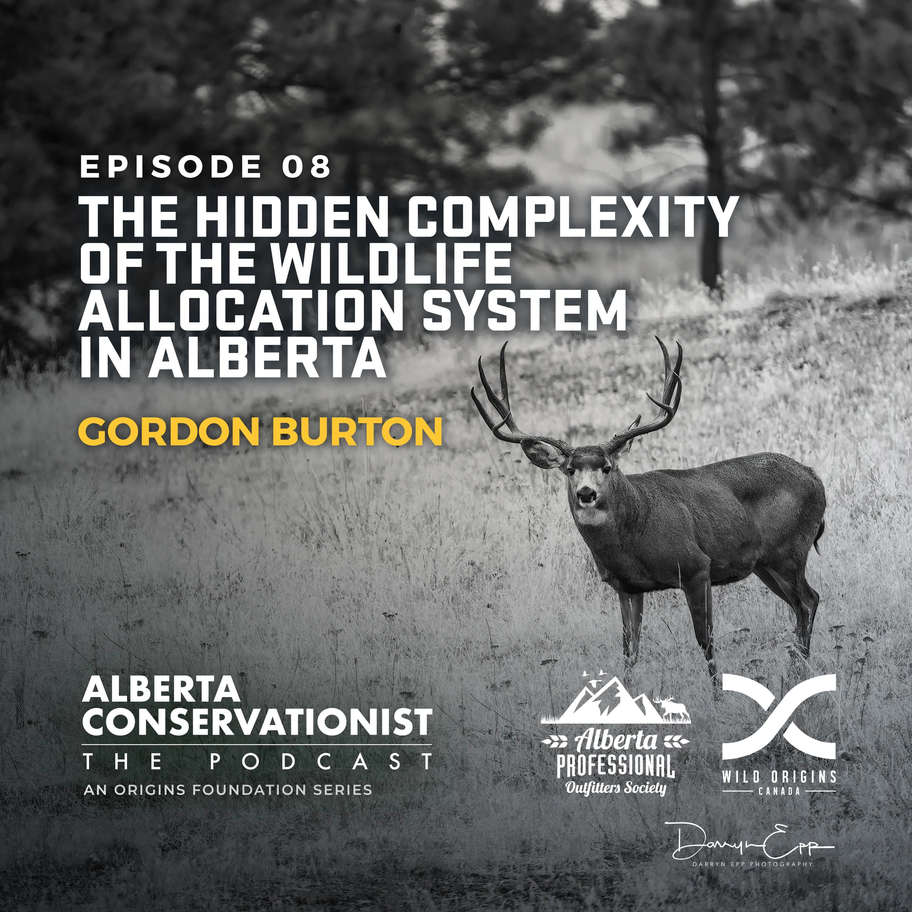 The Hidden Complexity of the Wildlife Allocation System in Alberta || AB Conservationist Podcast|| Ep. 8 episode artwork