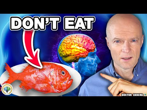 Top 10 Foods That DESTROY Your BRAIN