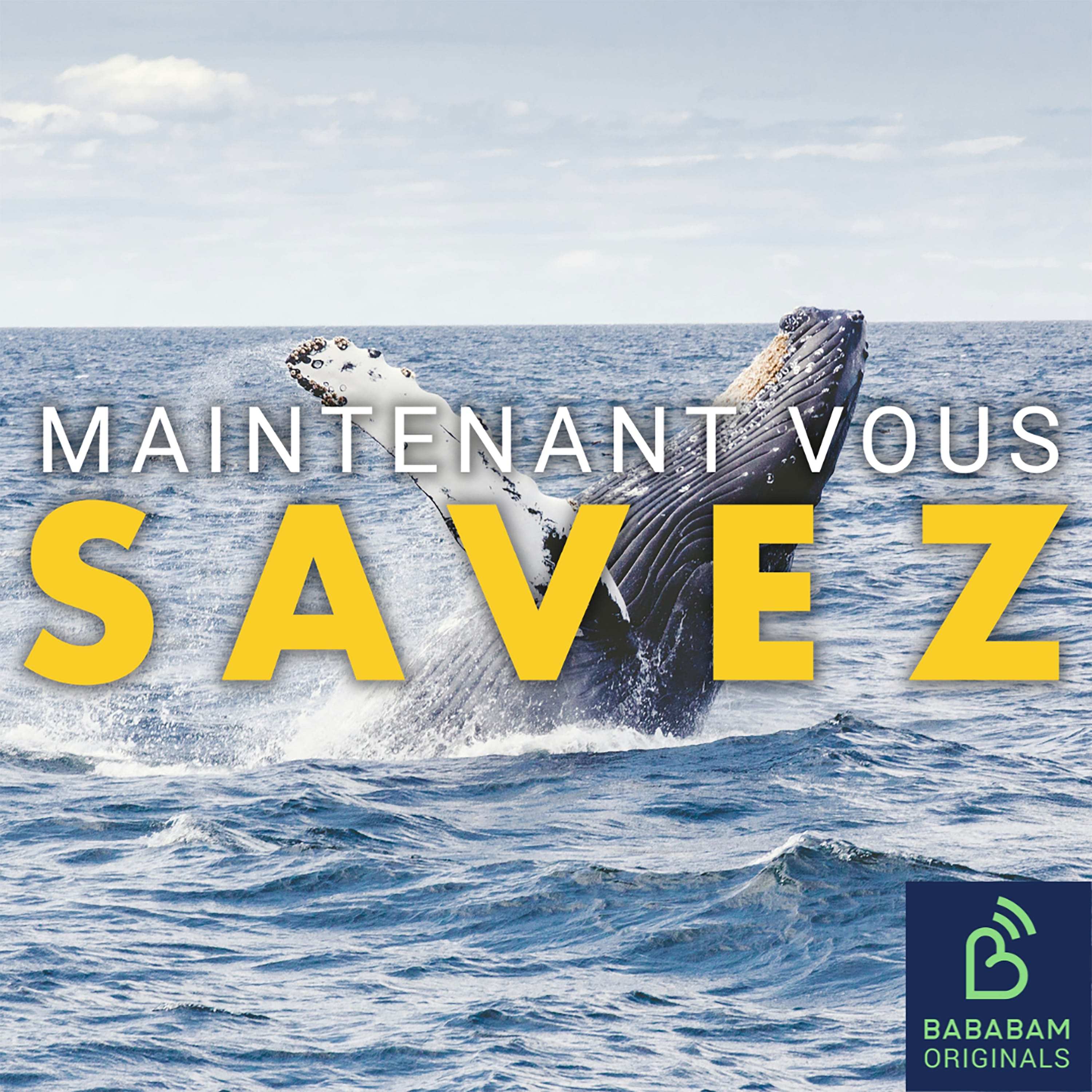 Les baleines pourraient-elles vraiment nous aider à communiquer avec les extraterrestres ?