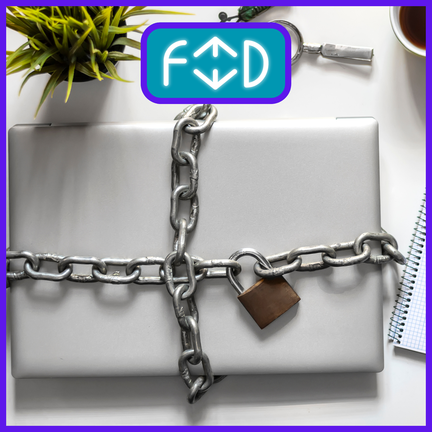 FEED - DIGITAL DETOX: allontanarsi dal web: tecniche e consigli per disintossicarsi digitalmente