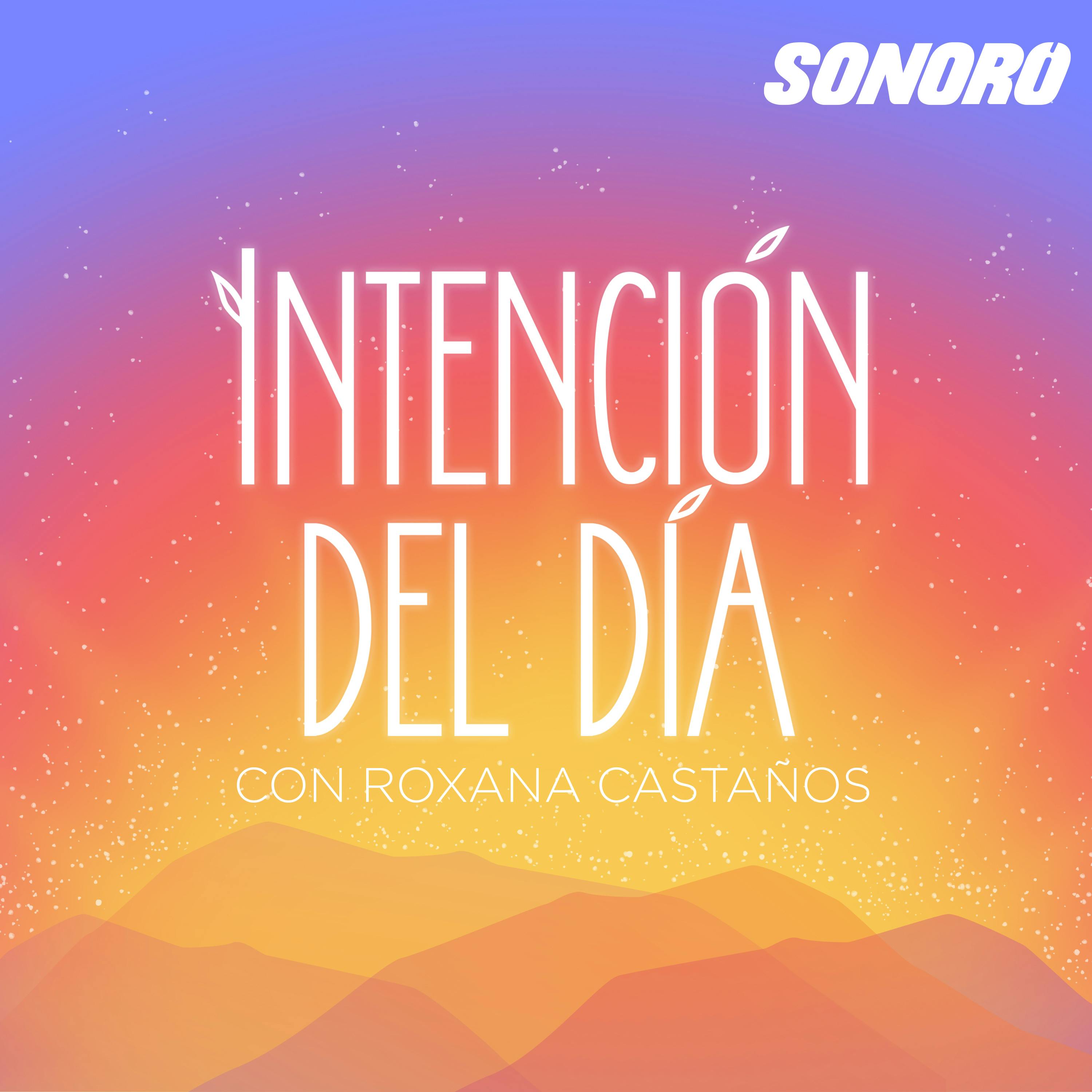 Contemplando Contemplando