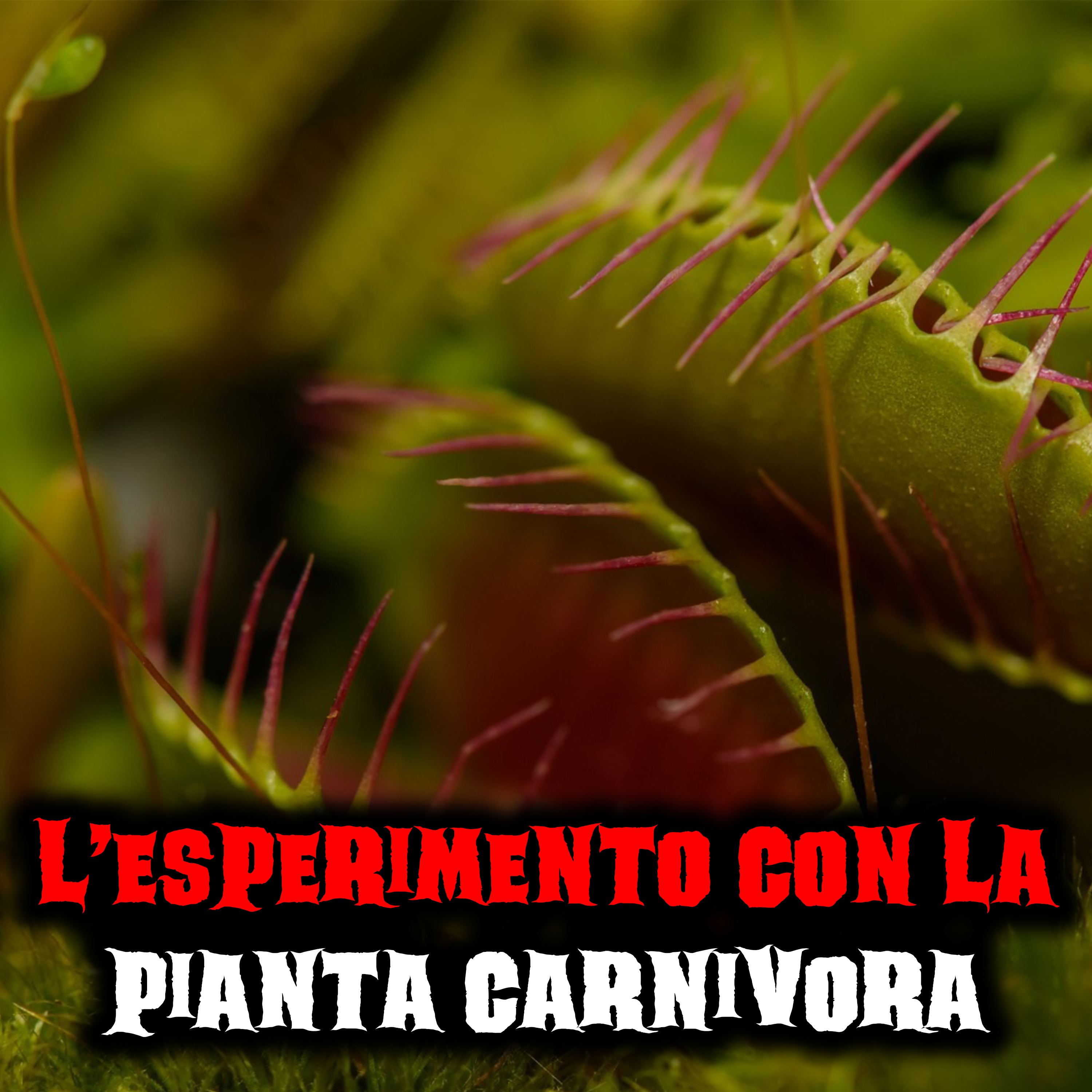 La Notte delle Creepypasta