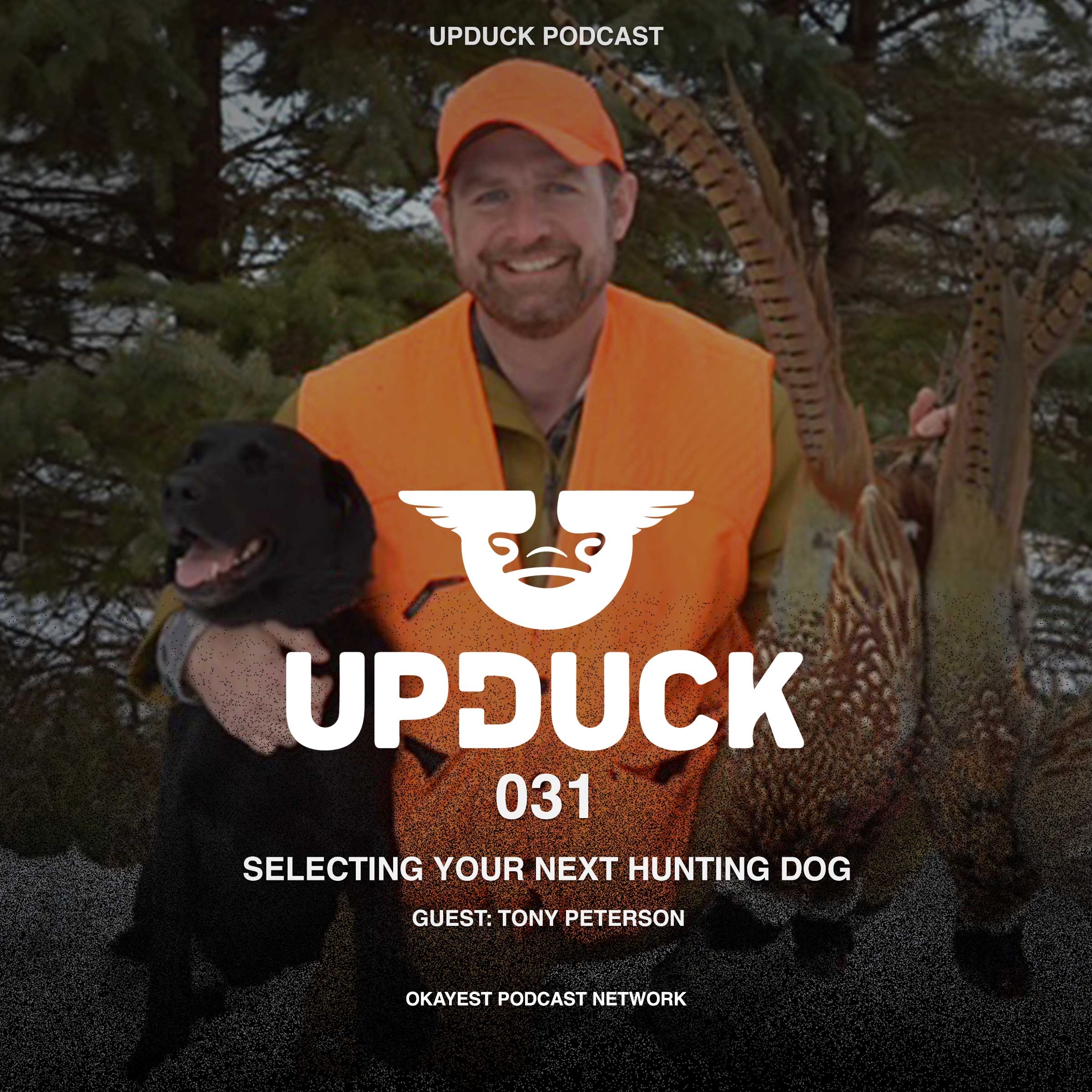 Re-air: What to look for when buying a hunting dog with Tony Peterson from MeatEater episode artwork