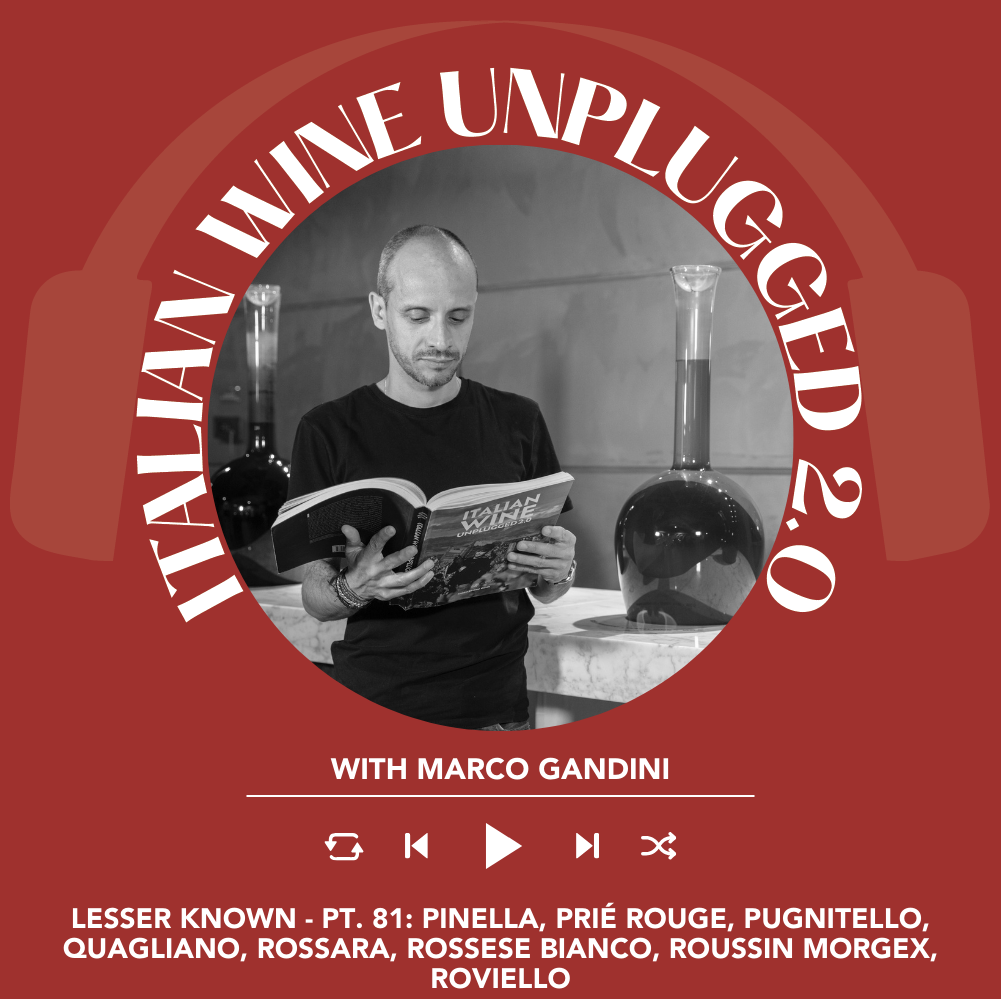 Marco Gandini Narrates Pt. 81 | Italian Wine Unplugged 2.0