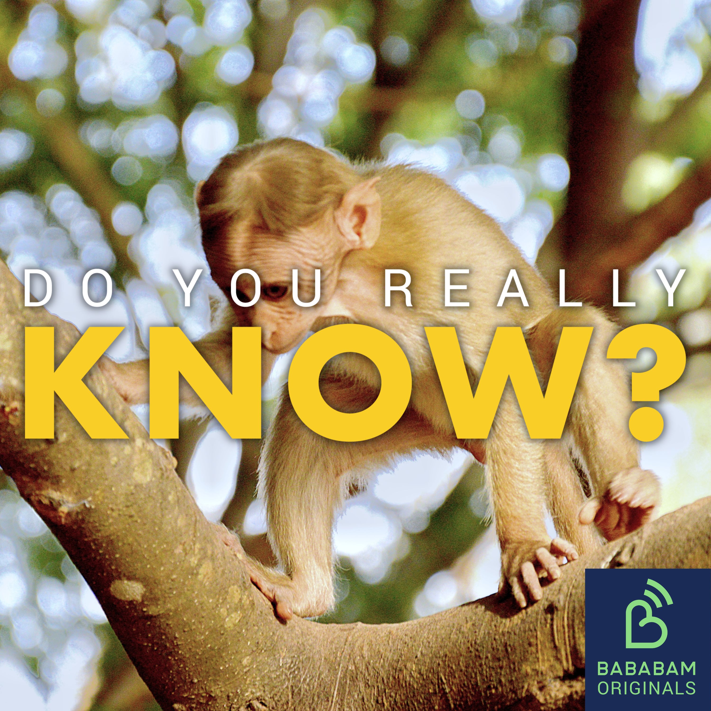 How can I recognise a flying monkey, the narcissistic abuser’s best friend?