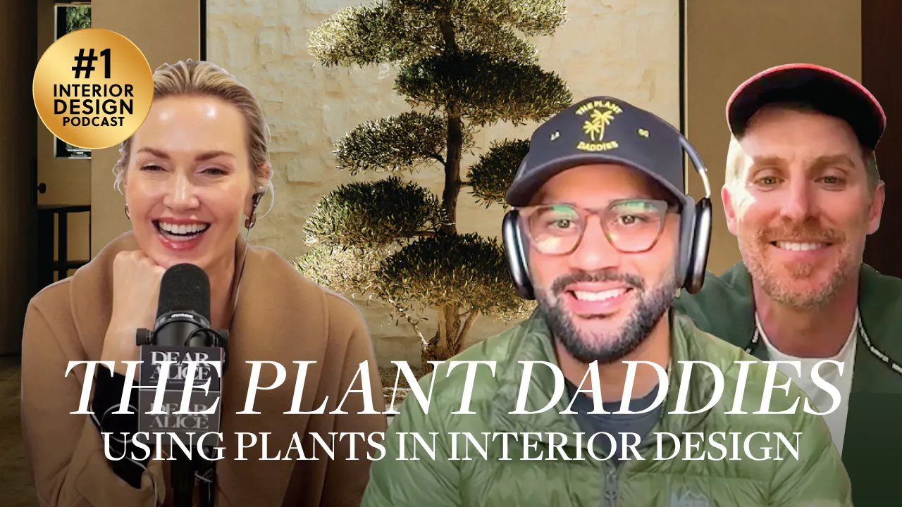 The Plant Daddies: Using Plants in Interior Design The Plant Daddies: Using Plants in Interior Design