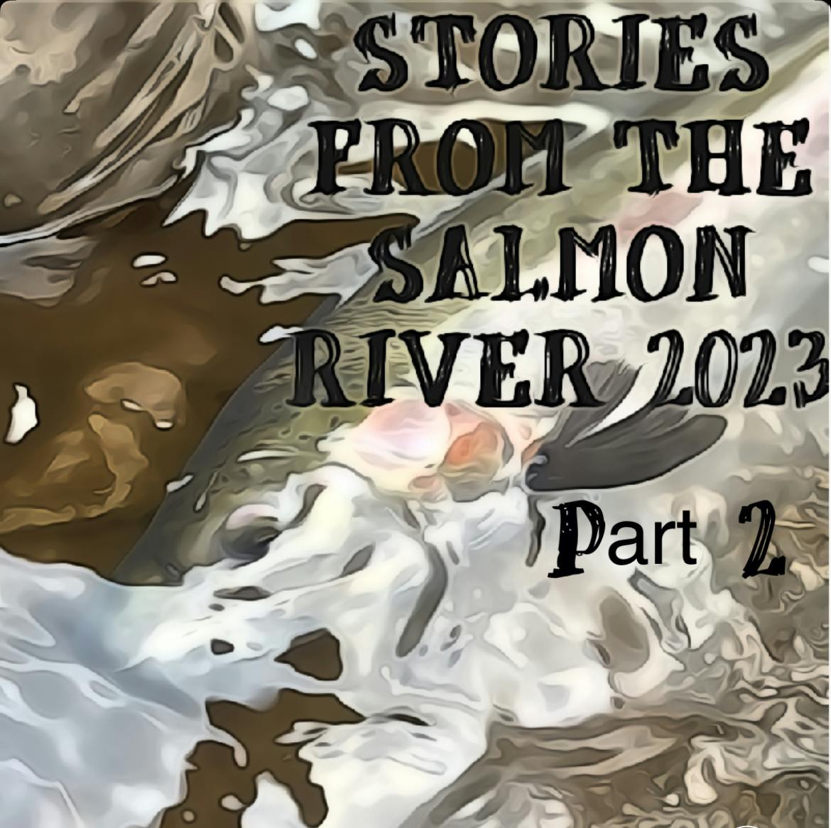 Stories From The Salmon River 2023 Part 2 of 3