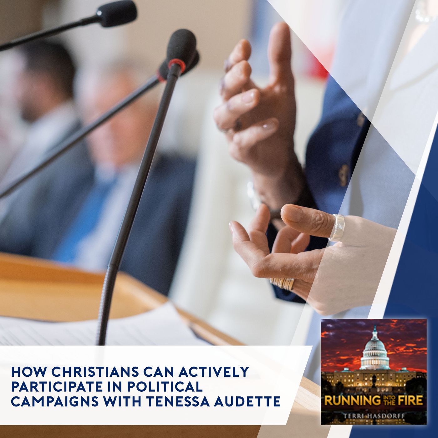 How Christians Can Actively Participate In Political Campaigns With Tenessa Audette episode artwork