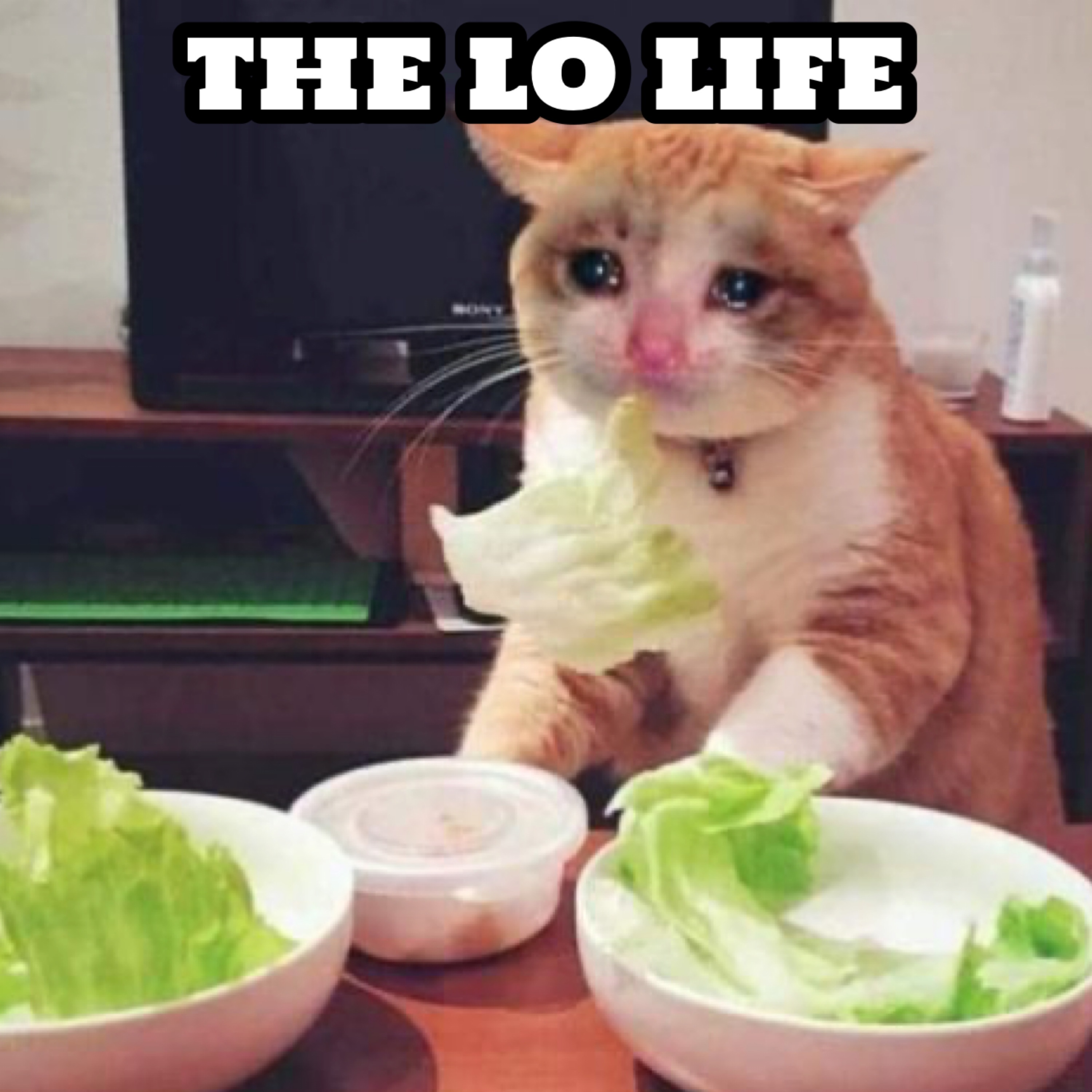 The Lo Life