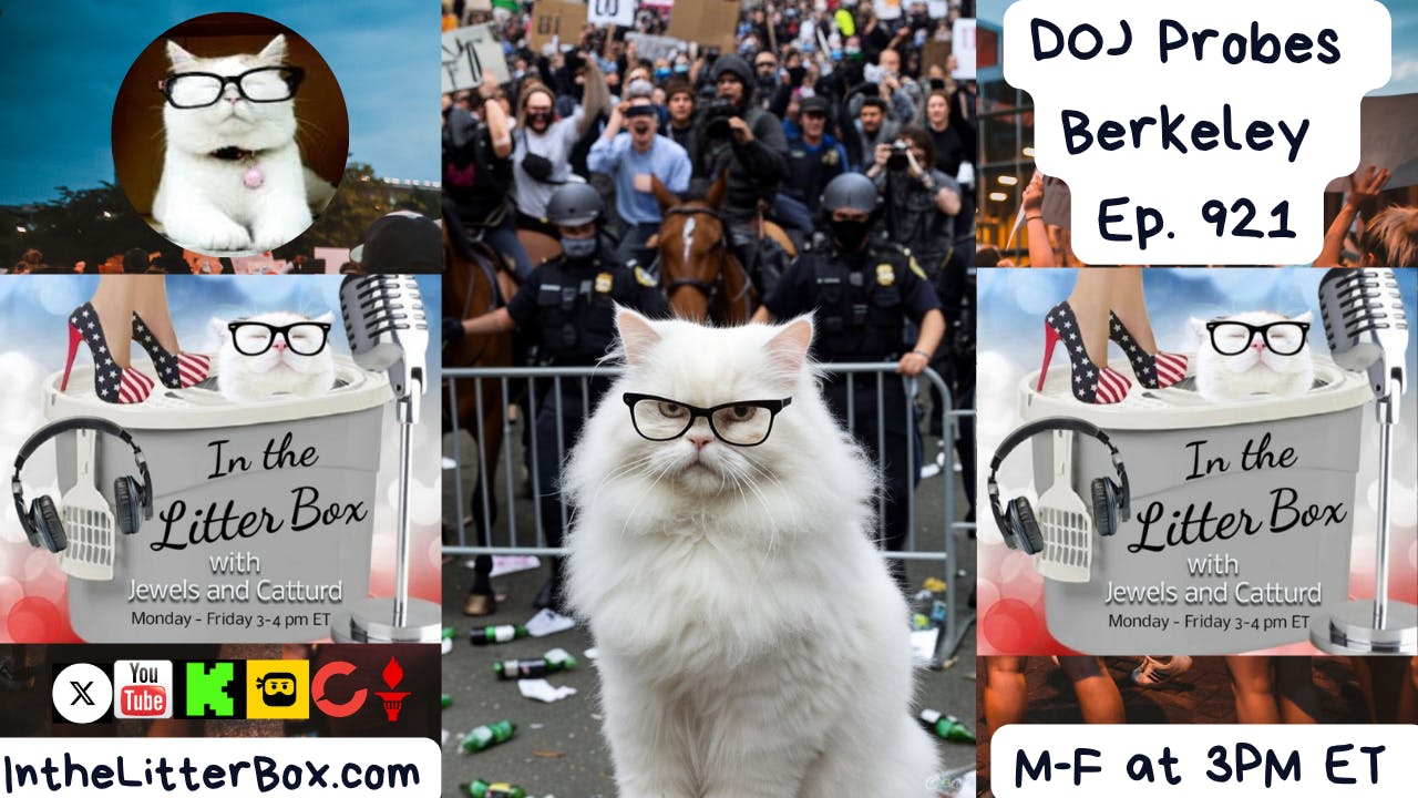 DOJ Probes Berkeley | In the Litter Box w/ Jewels & Catturd – Ep. 921 – 11/12/2025 DOJ Probes Berkeley | In the Litter Box w/ Jewels & Catturd – Ep. 921 – 11/12/2025