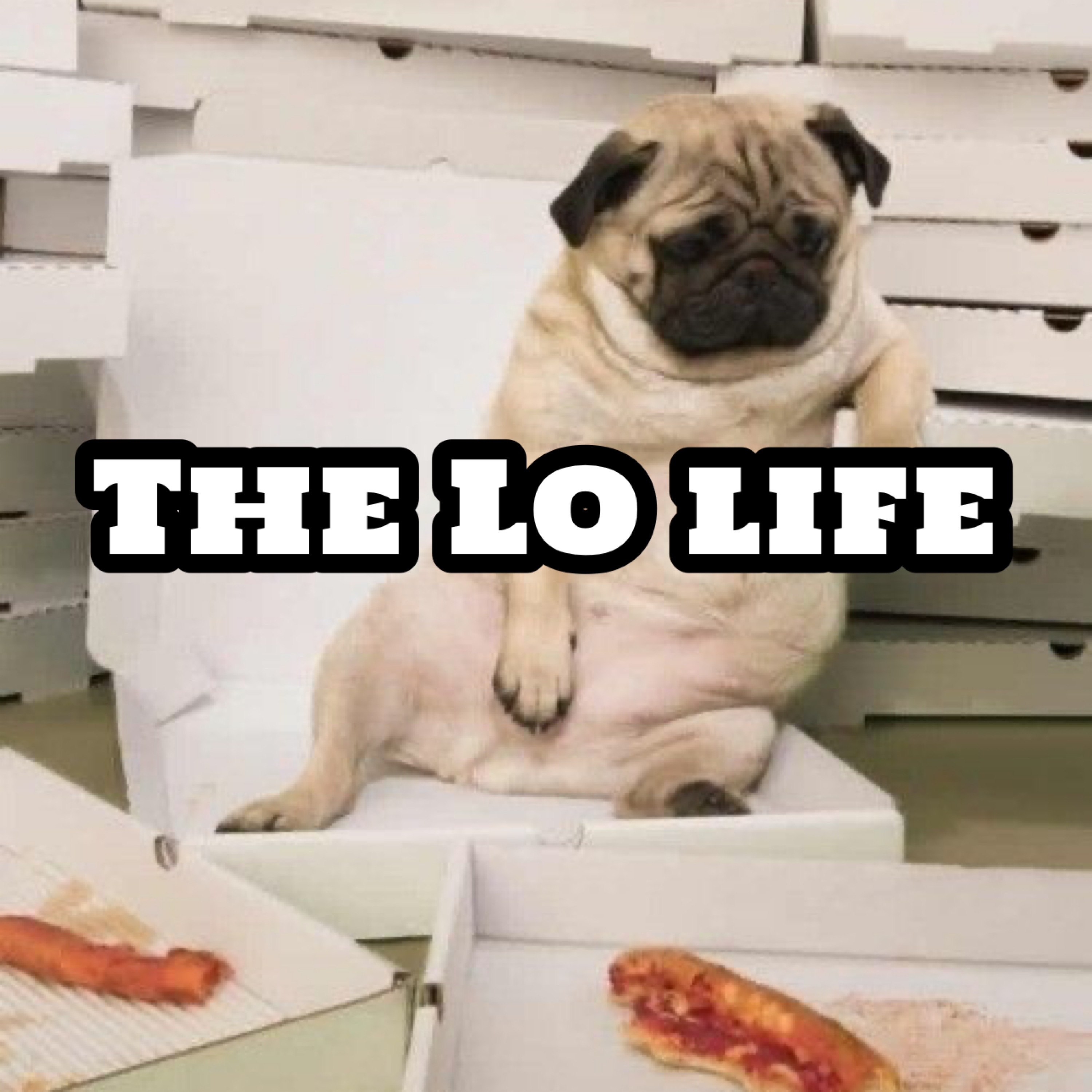 The Lo Life