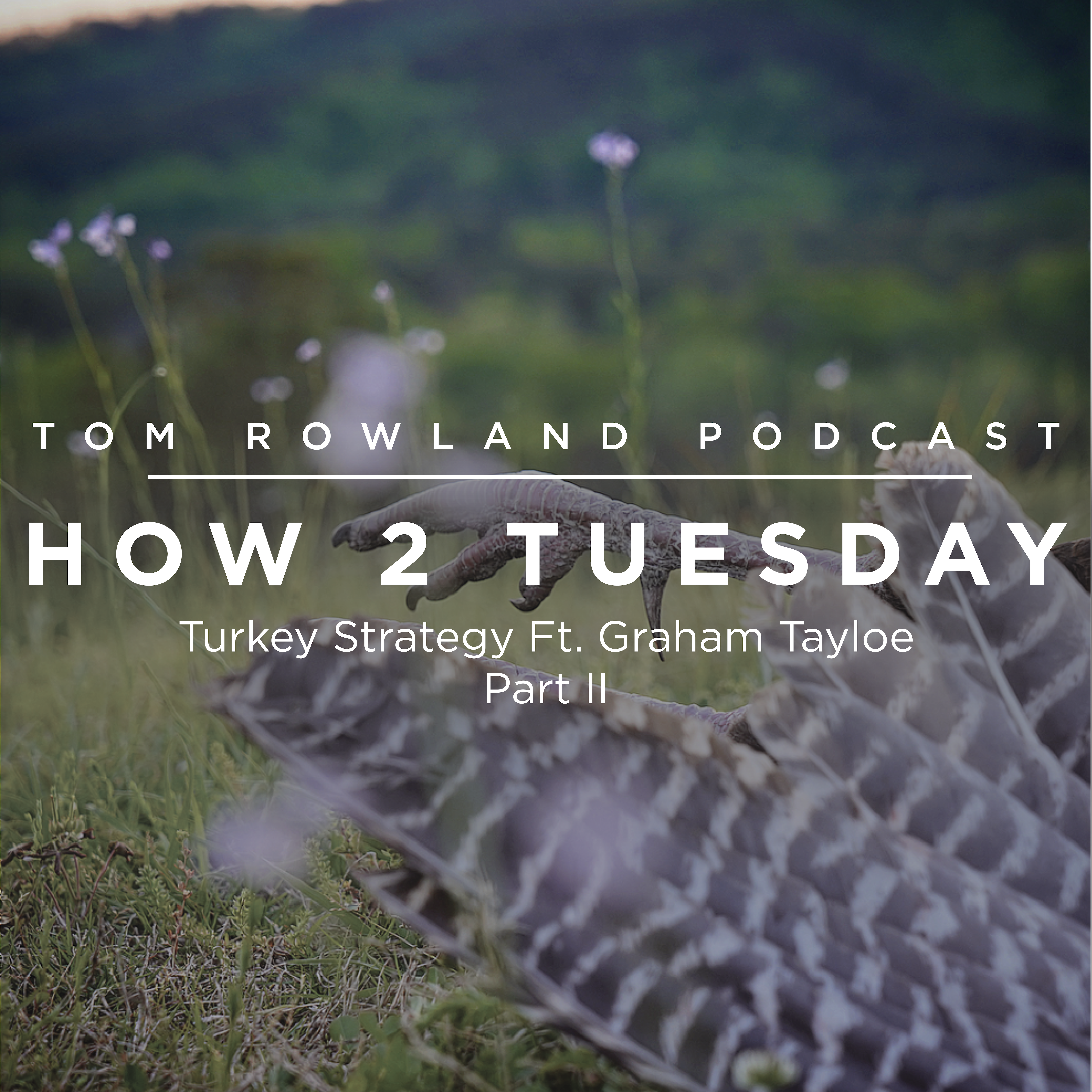 HOW 2 TUESDAY #15 - Turkey Strategy Ft. Graham Tayloe Pt. II