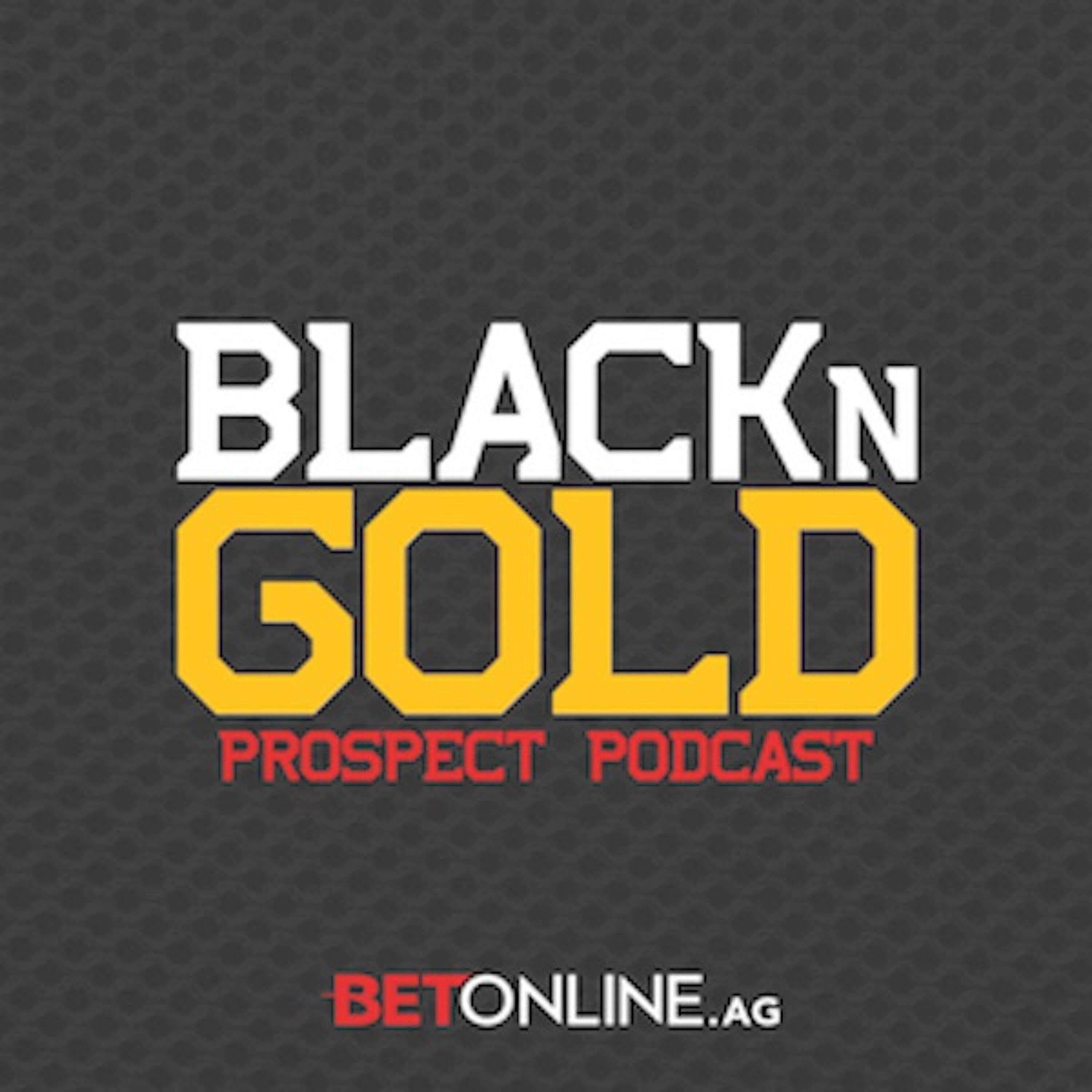 008: Providence Bruins Earn 4 Of 6 Points During First Responders Weekend & Other Prospect Updates episode artwork