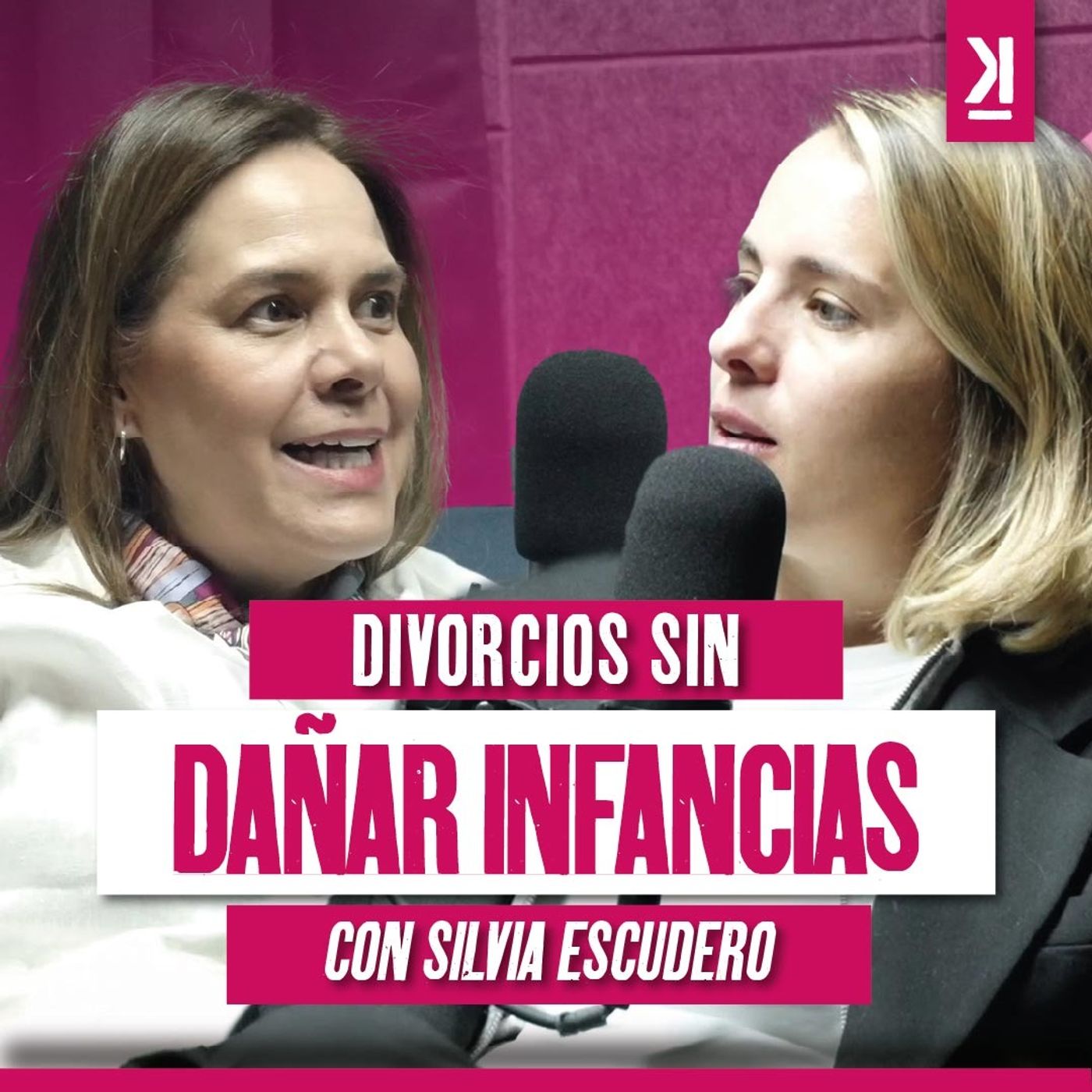 Poder judicial: Mediación y justicia, claves para sanar familias rotas | Silvia Escudero episode artwork