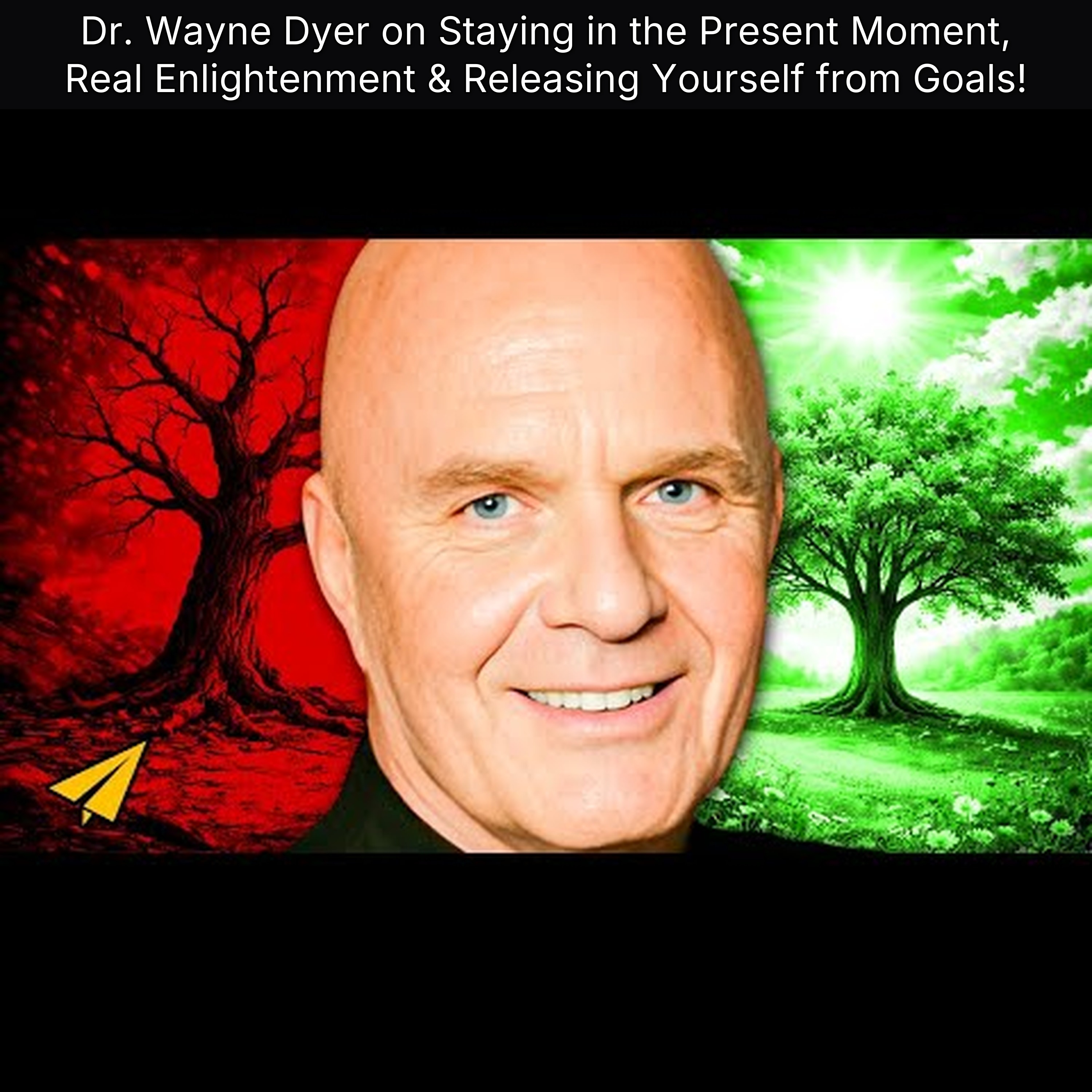 Dr. Wayne Dyer on Staying in the Present Moment, Real Enlightenment & Releasing Yourself from Goals!