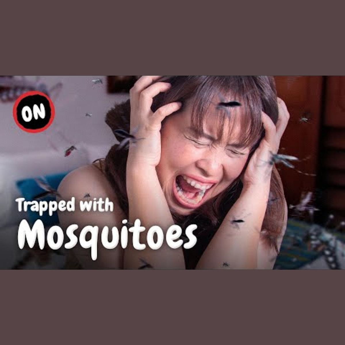 Surviving a Room Full of Mosquitoes: How to Cope and Stay Safe episode artwork