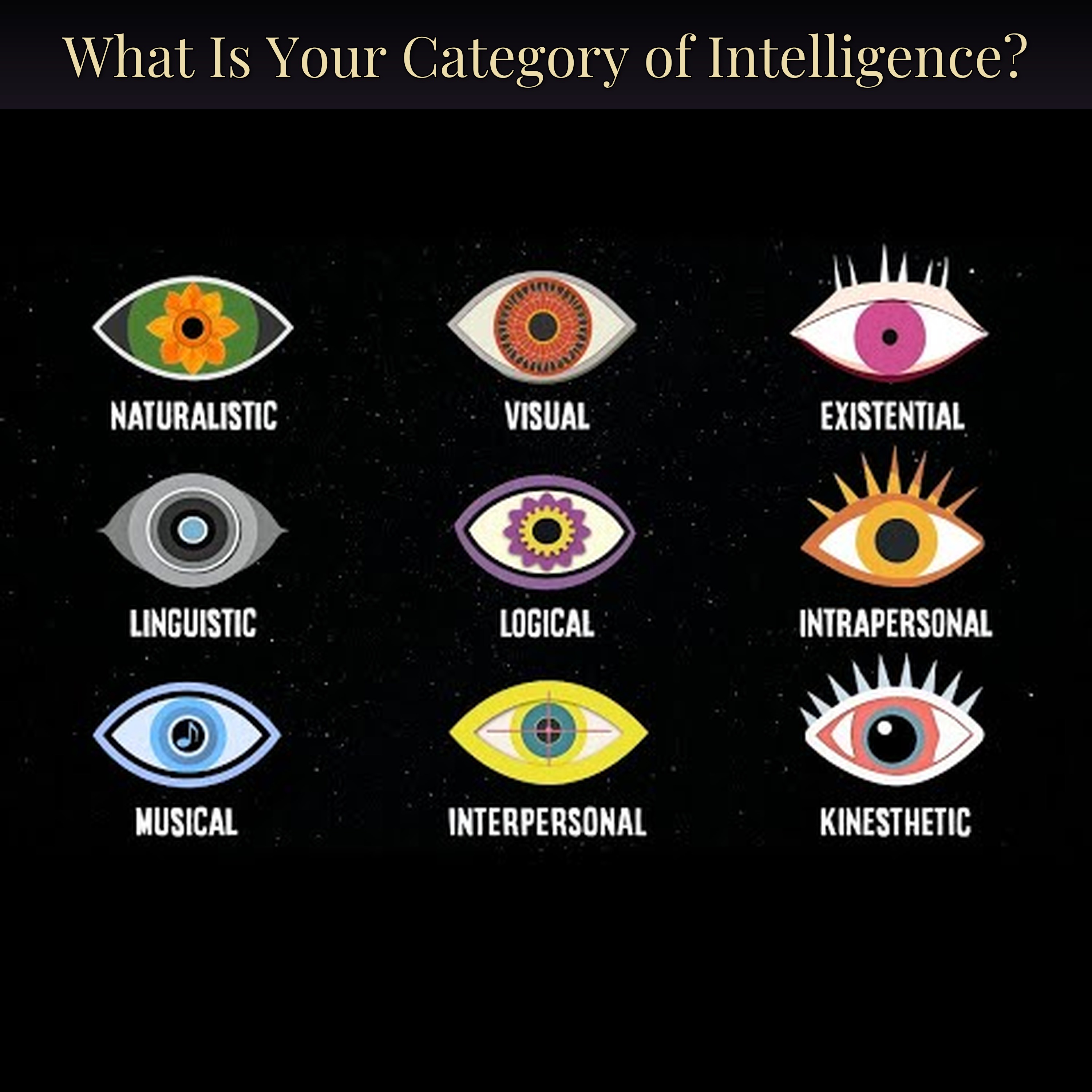 What Is Your Category of Intelligence?