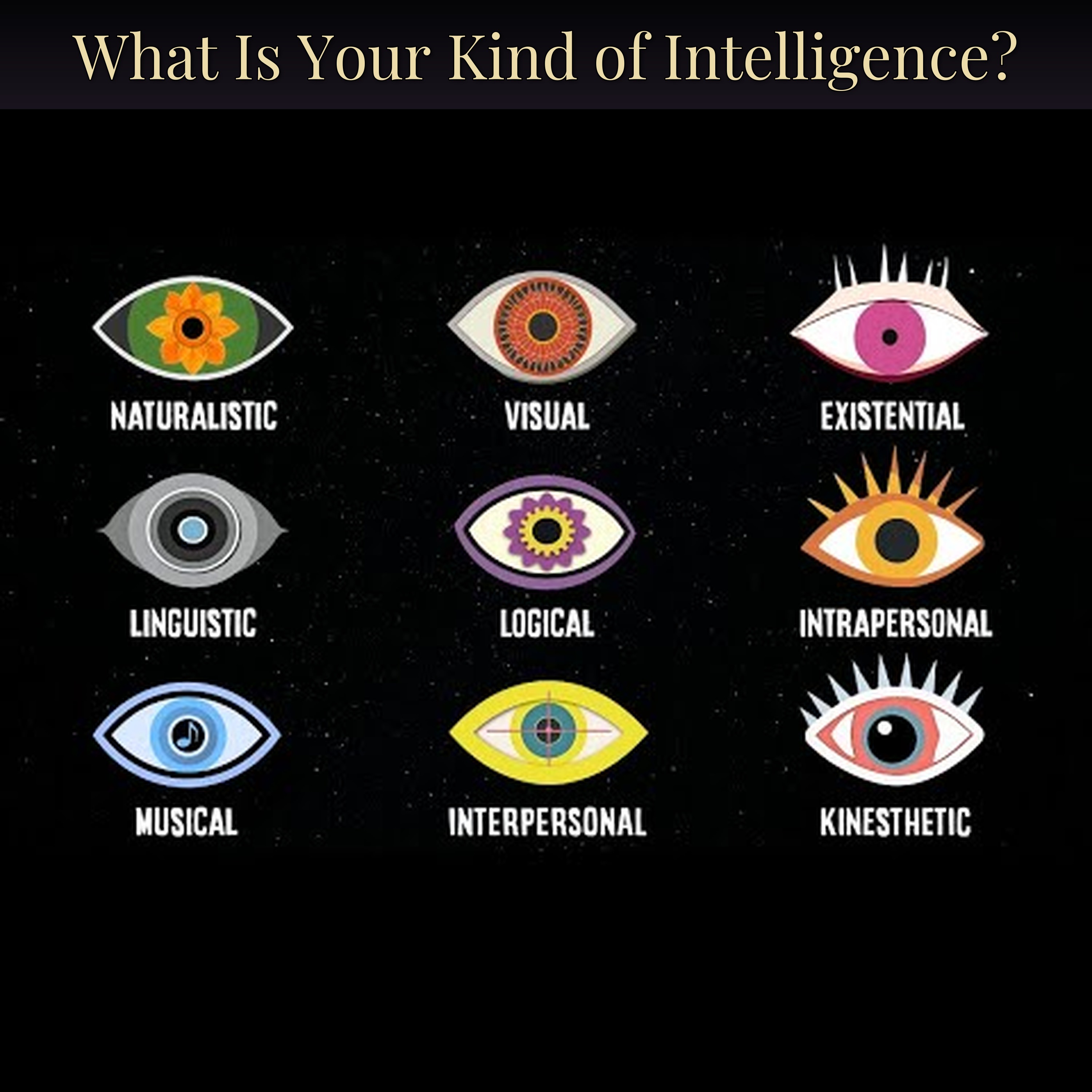 What Is Your Kind of Intelligence?