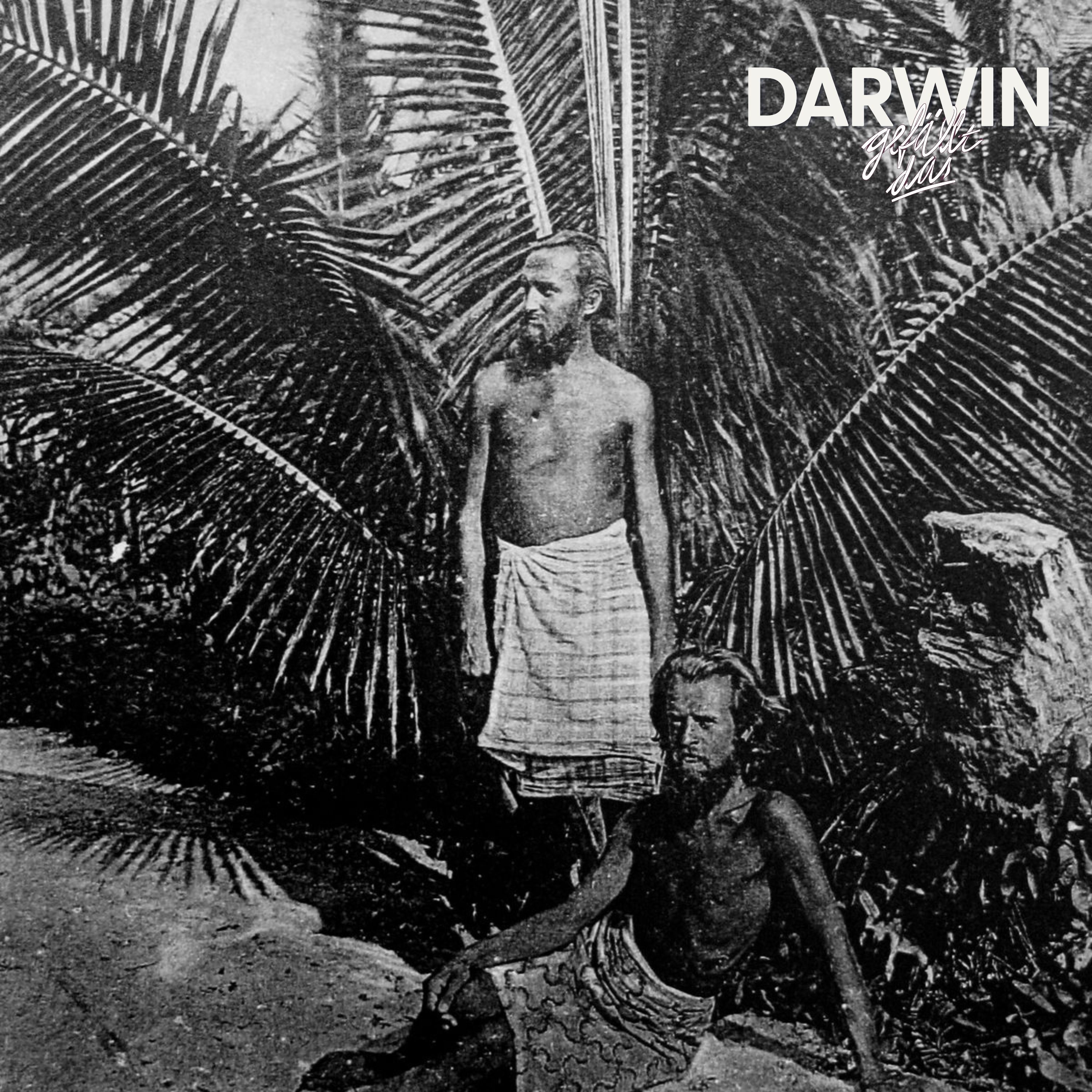 Coco Nuts | DGD Sommersause