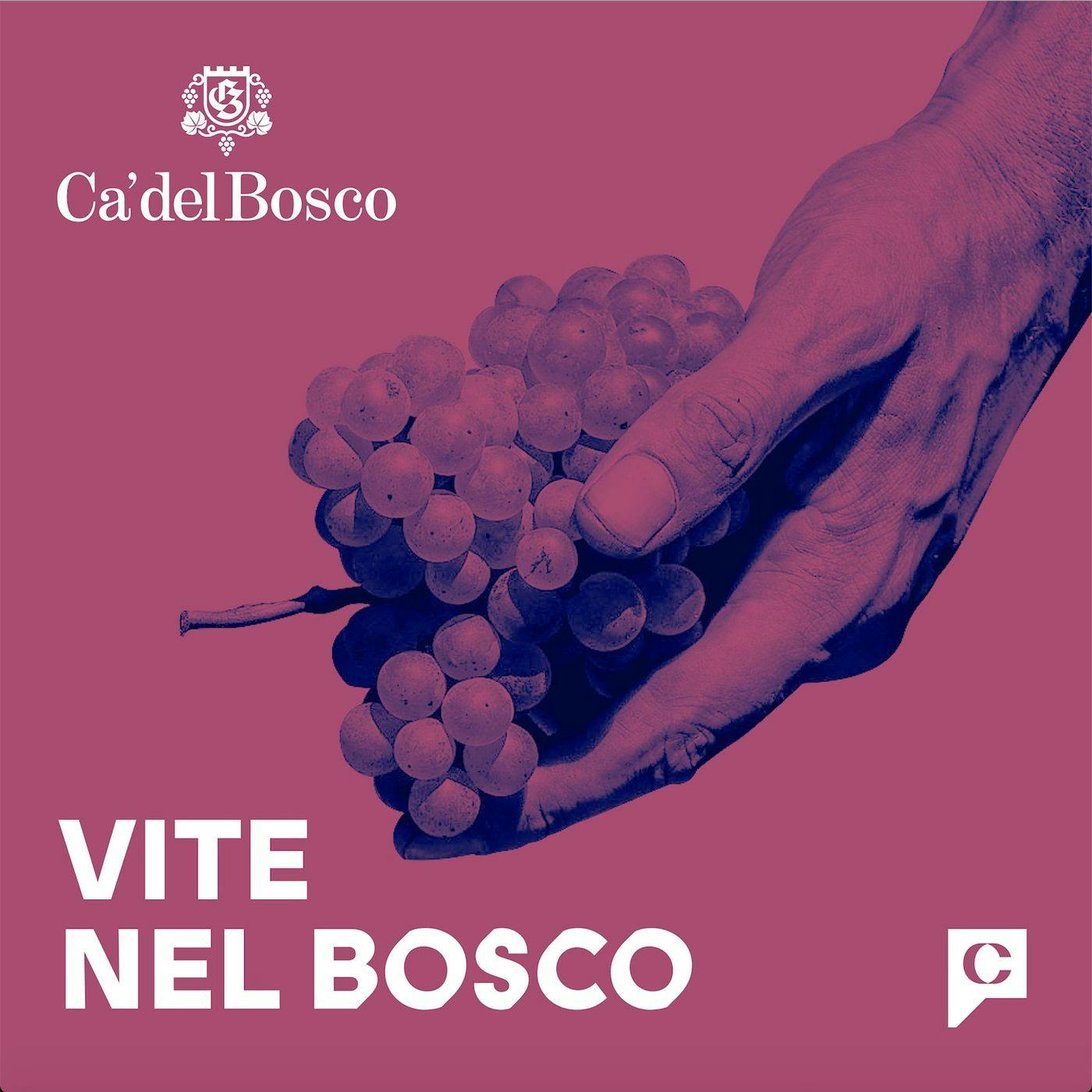 Ep.1: La ribellione Ep.1: La ribellione