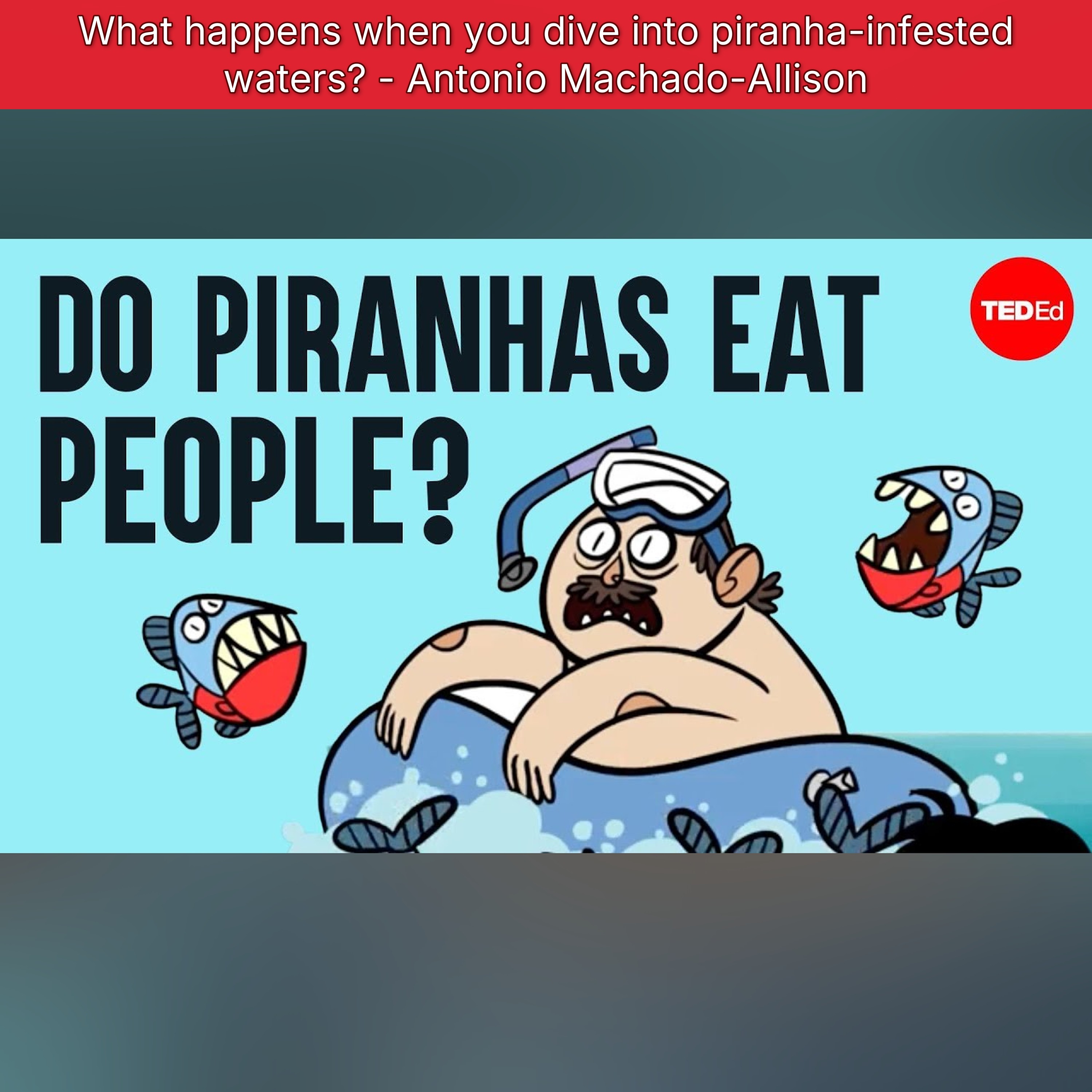 TED-Ed