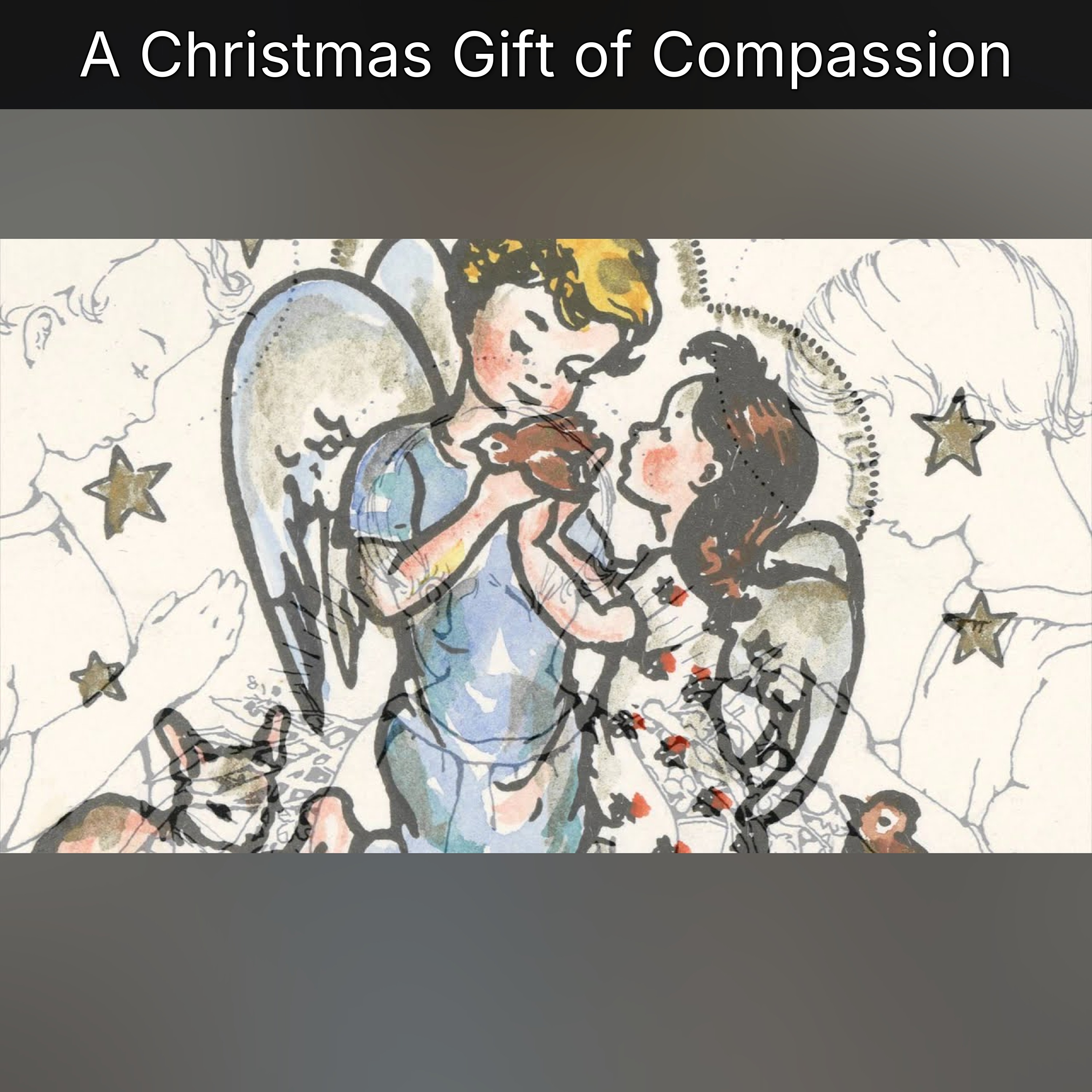 A Christmas Gift of Compassion episode artwork