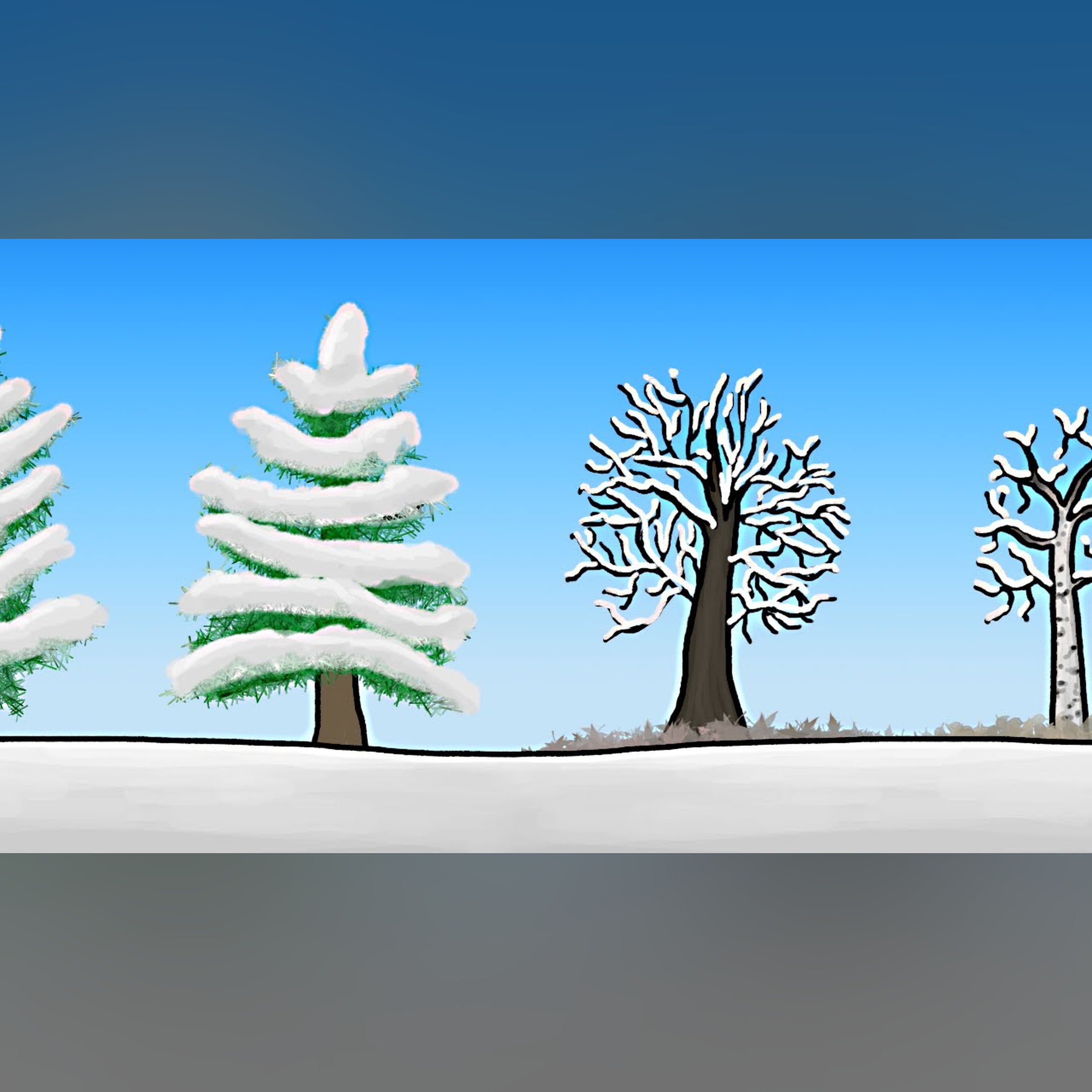 How do Trees Survive Winter? episode artwork
