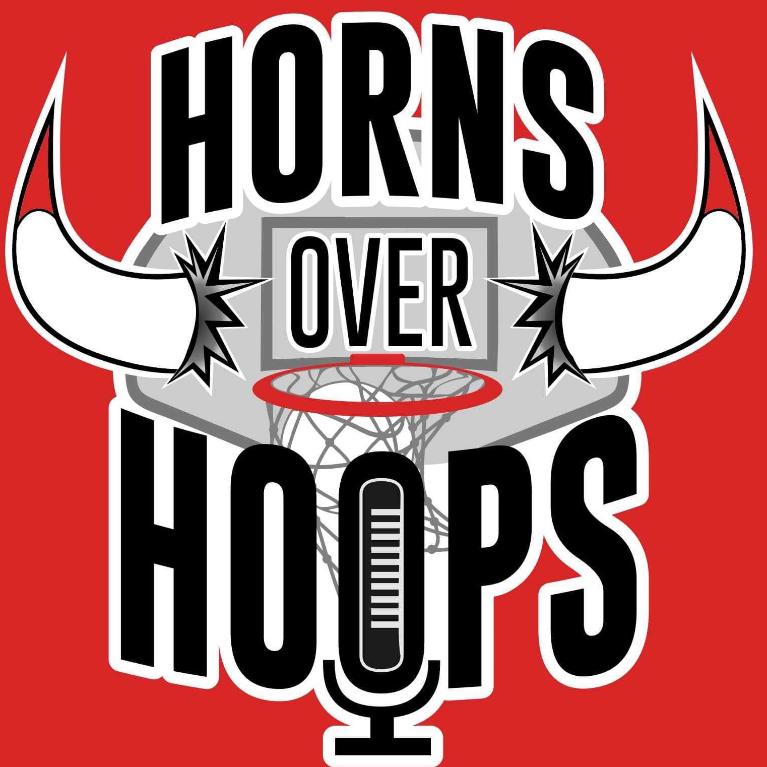 [BONUS] An interview with a basketball fan episode artwork