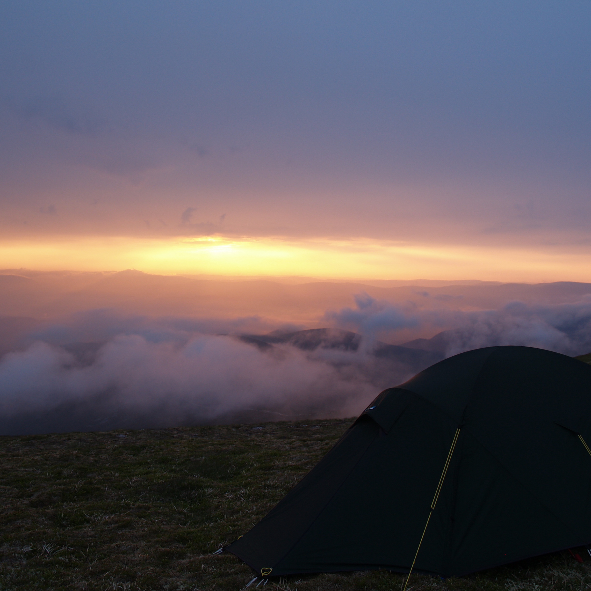 205. A quest for one of Britain's rarest birds in the Cairngorm mountains