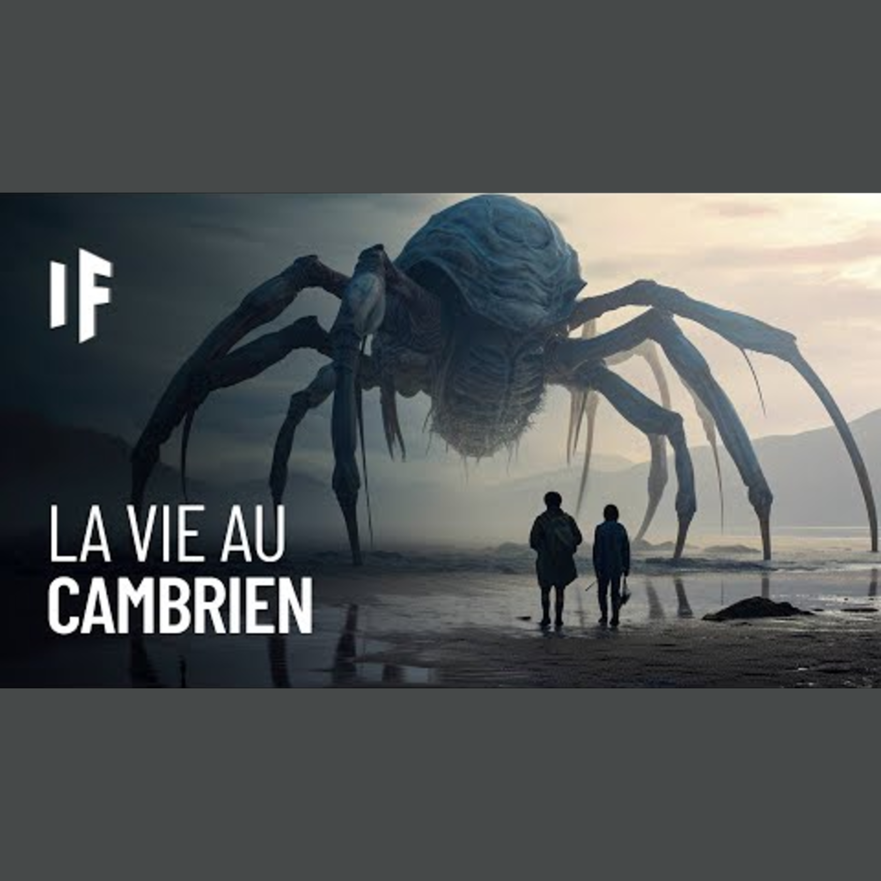 Et si vous viviez pendant le Cambrien ? episode artwork