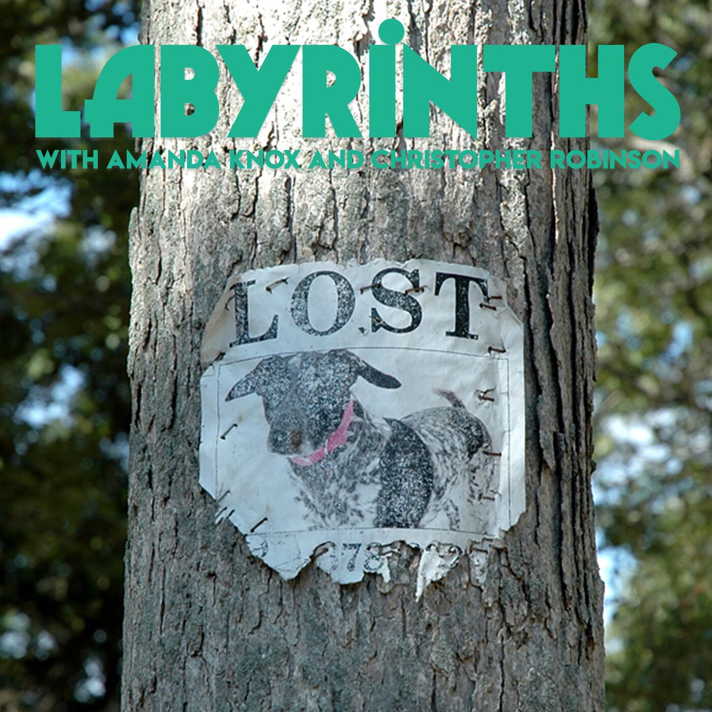 Hard Knox with Amanda Knox