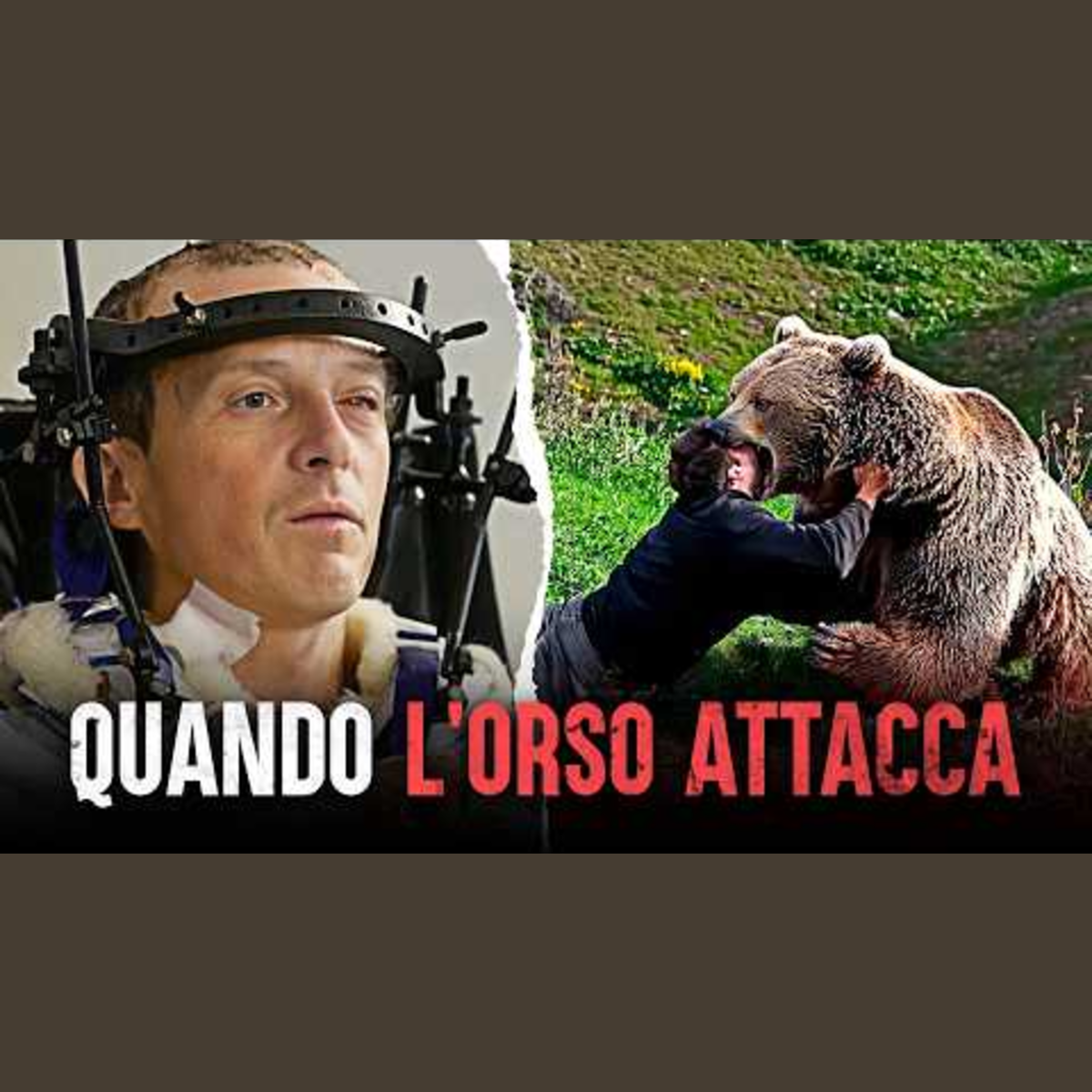 Gli attacchi più letali degli orsi: la tragedia di Johan Otter