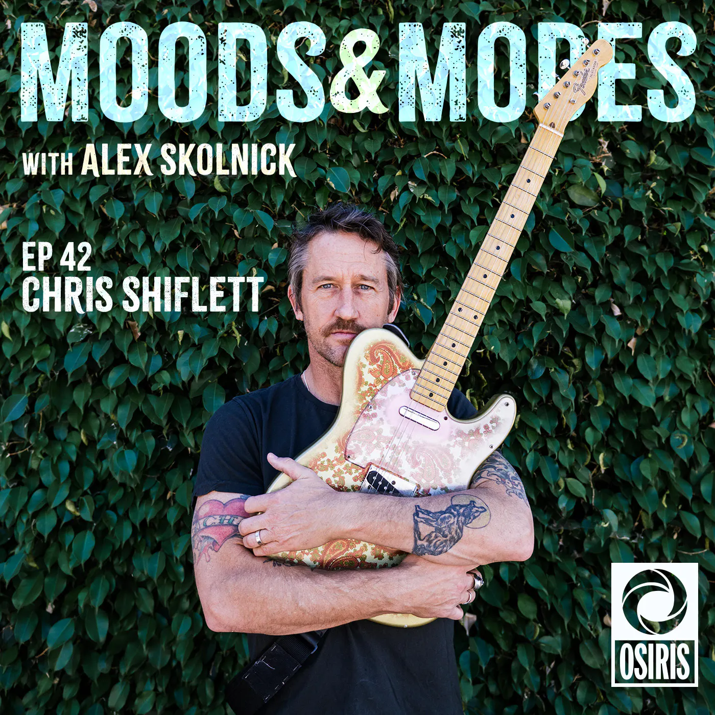 Chris Shiflett episode artwork