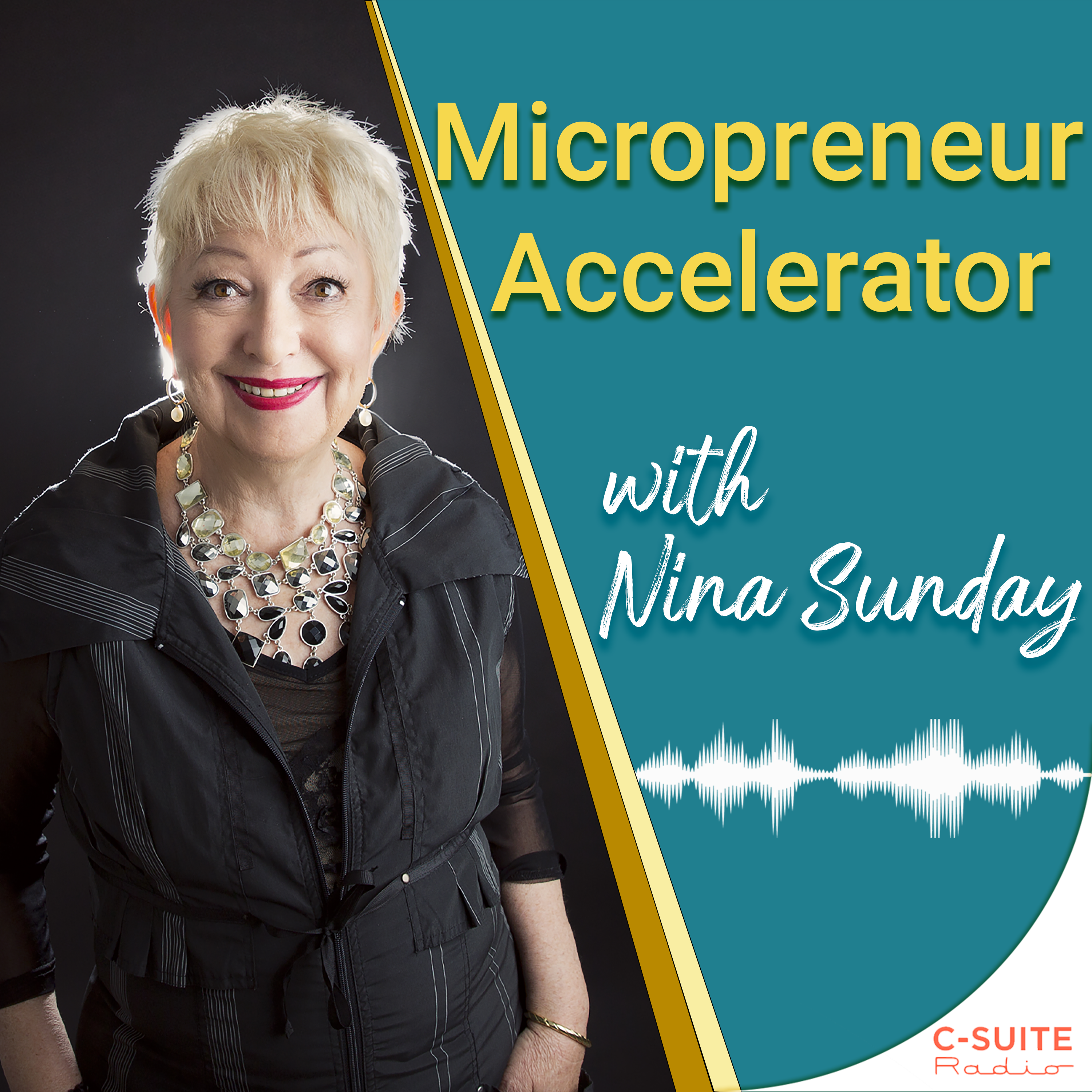 Micropreneur Accelerator